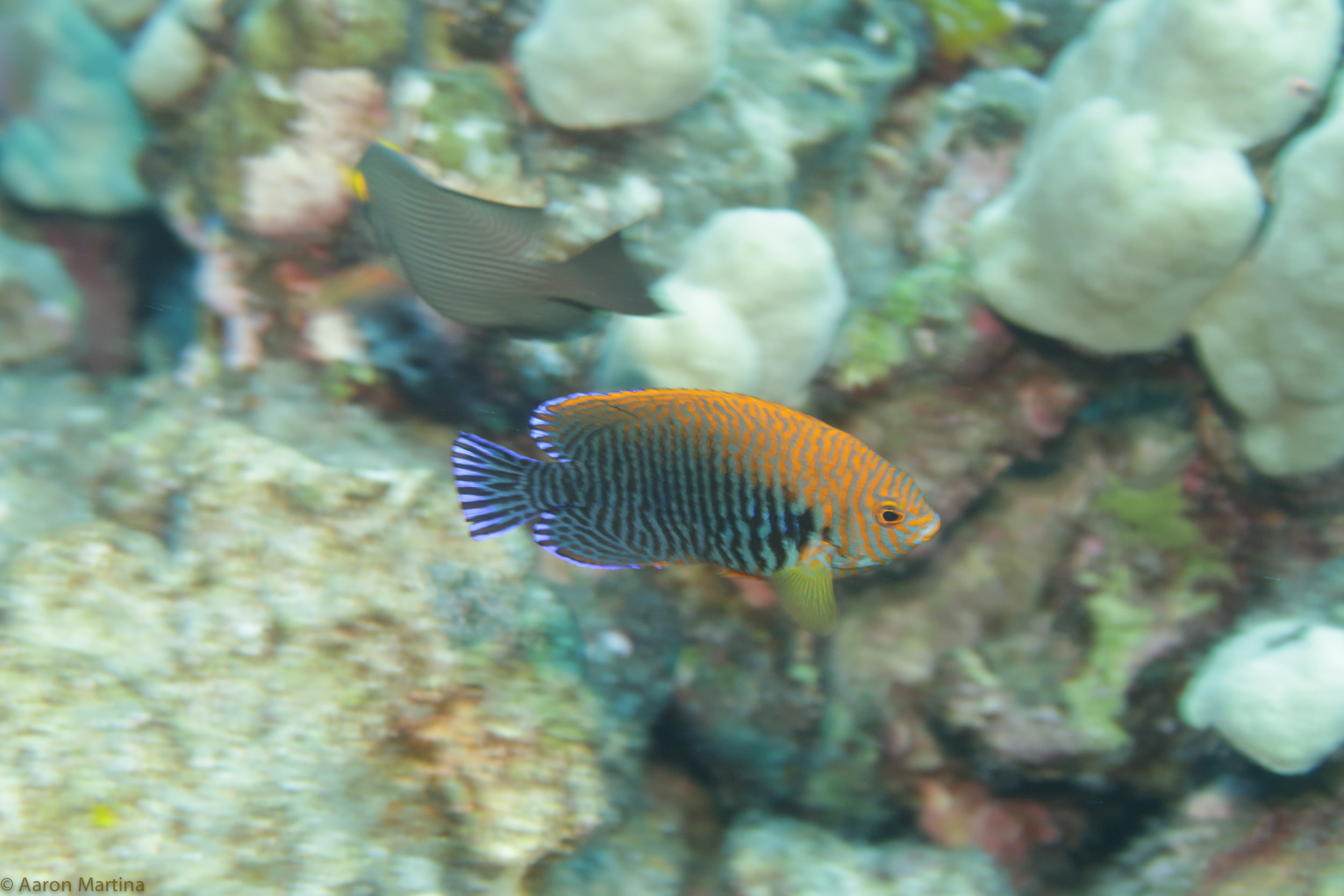 IMG_0800.jpg