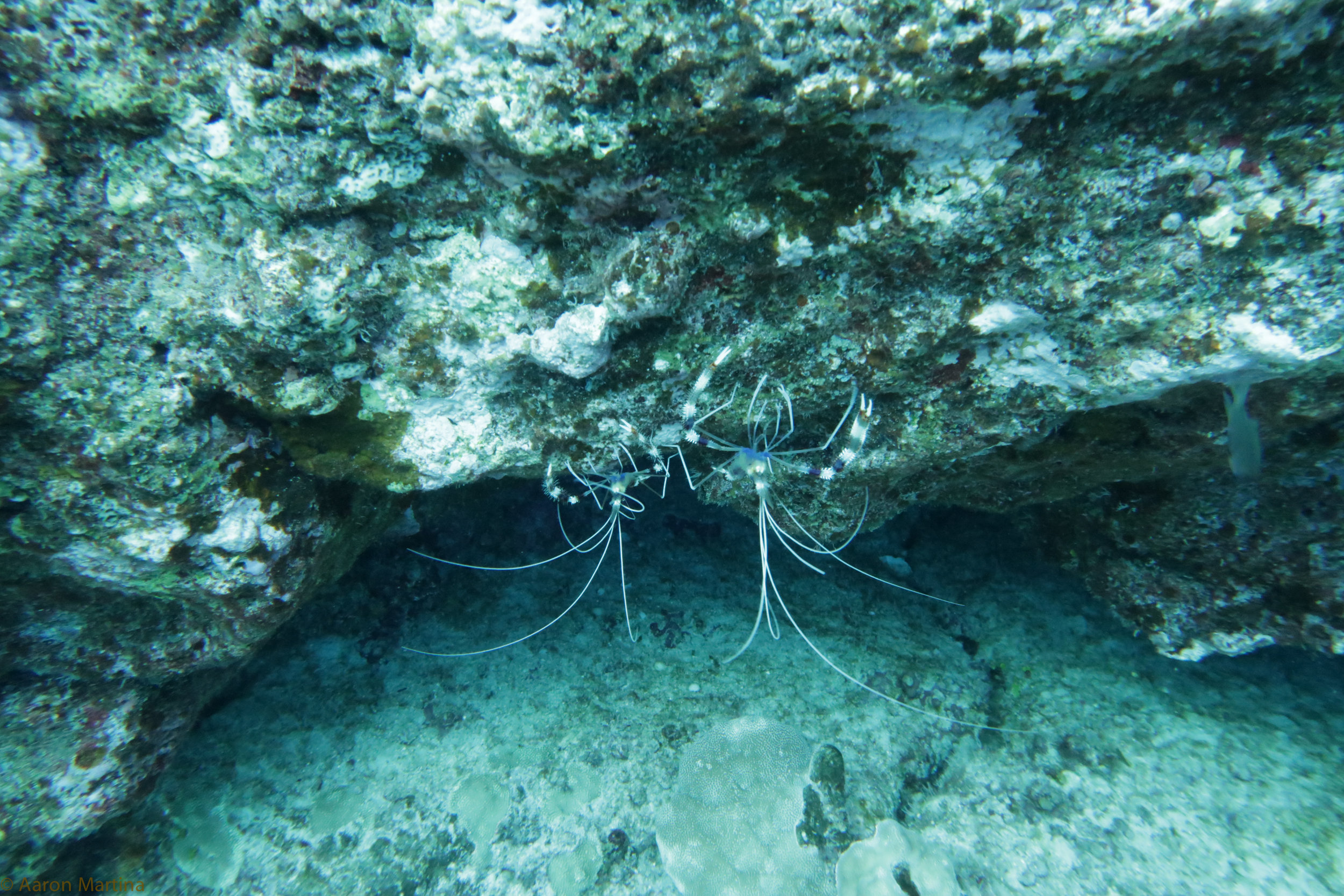 IMG_0953.jpg