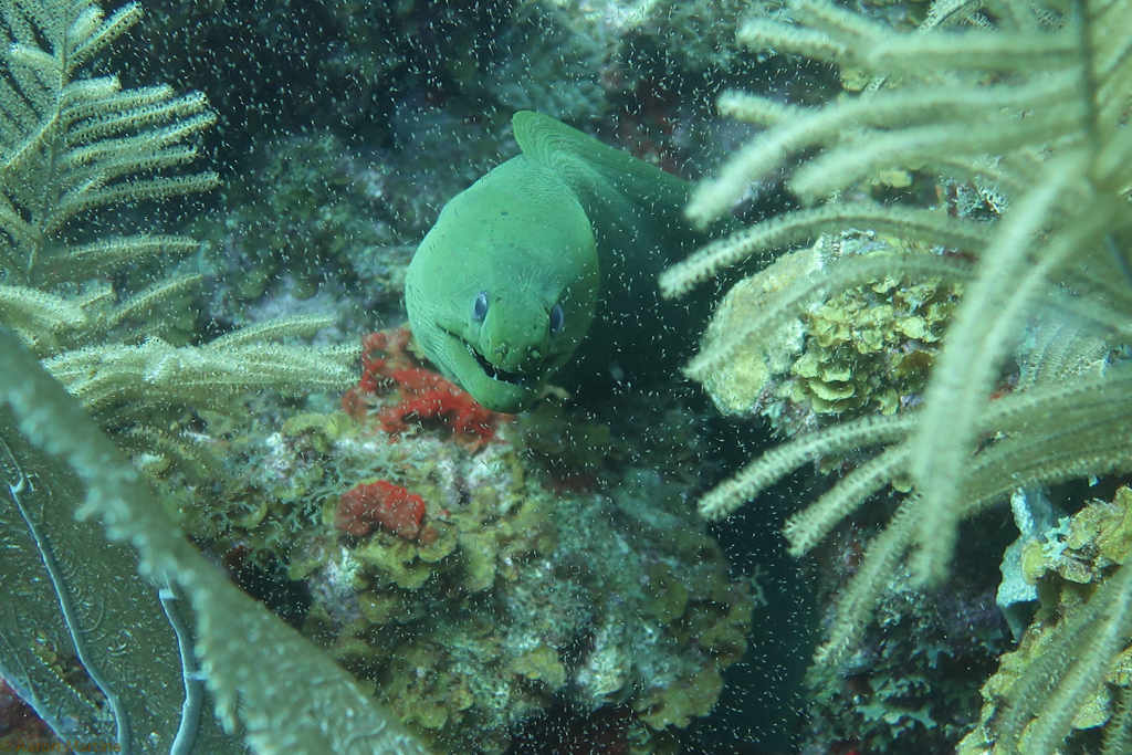 IMG_1789.jpg