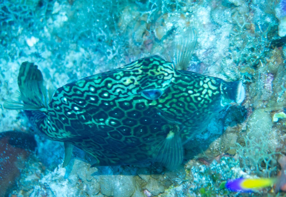 IMG_4489.JPG