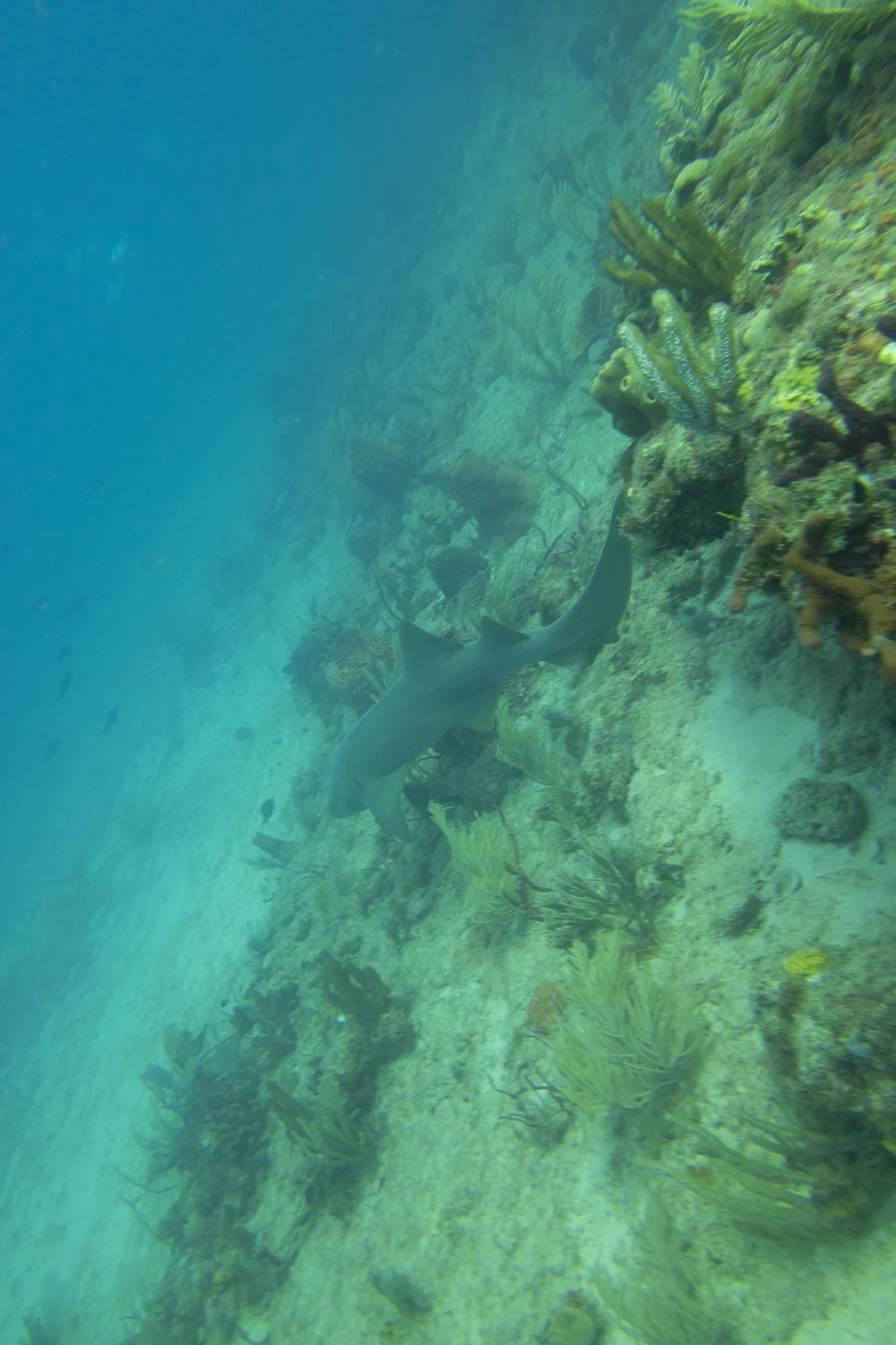 IMG_4732.JPG