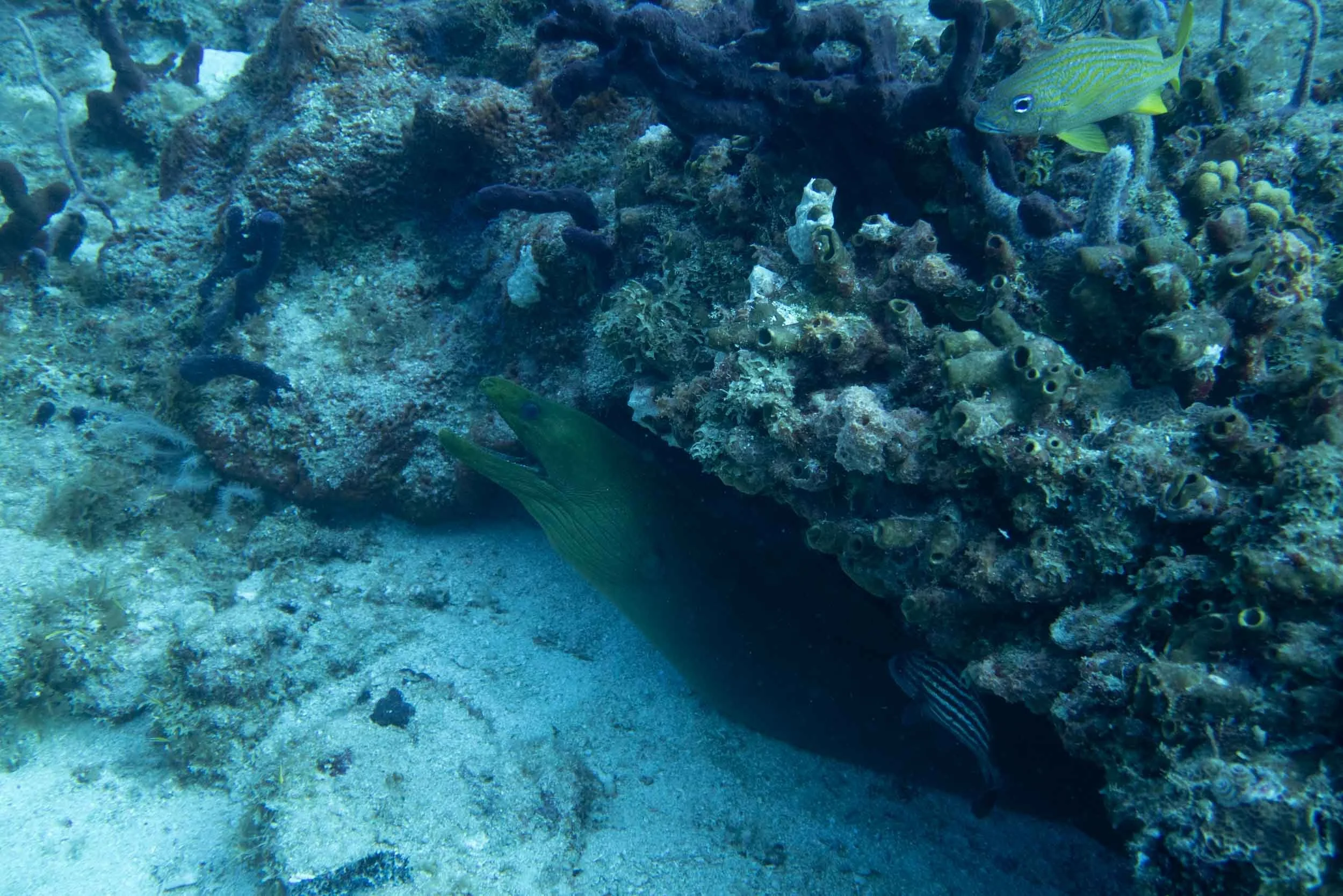 IMG_6050.JPG