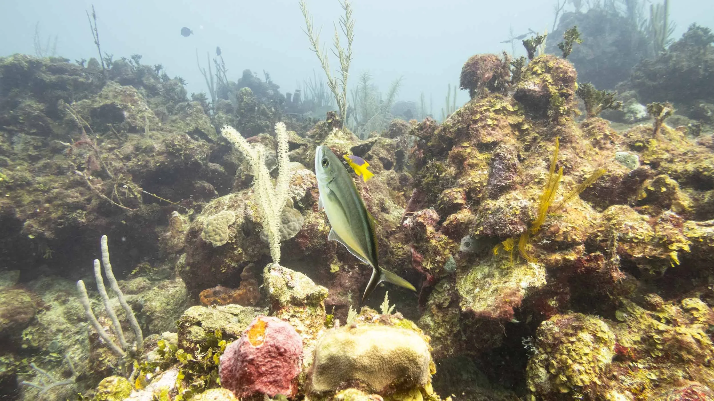 IMG_5763.JPG
