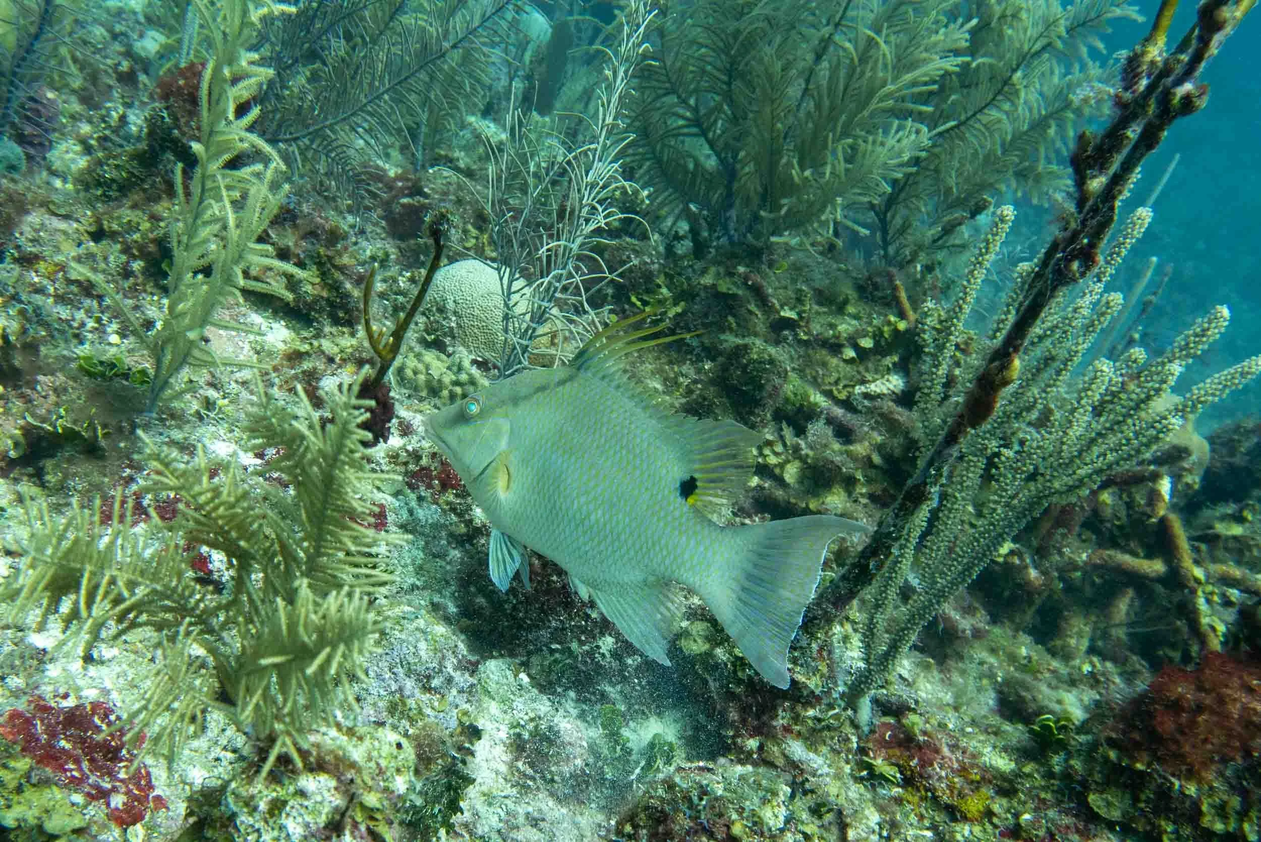 IMG_5779.JPG