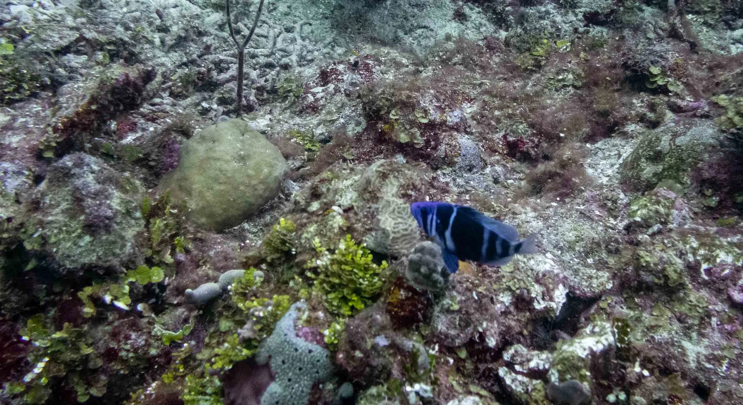 IMG_6026.JPG