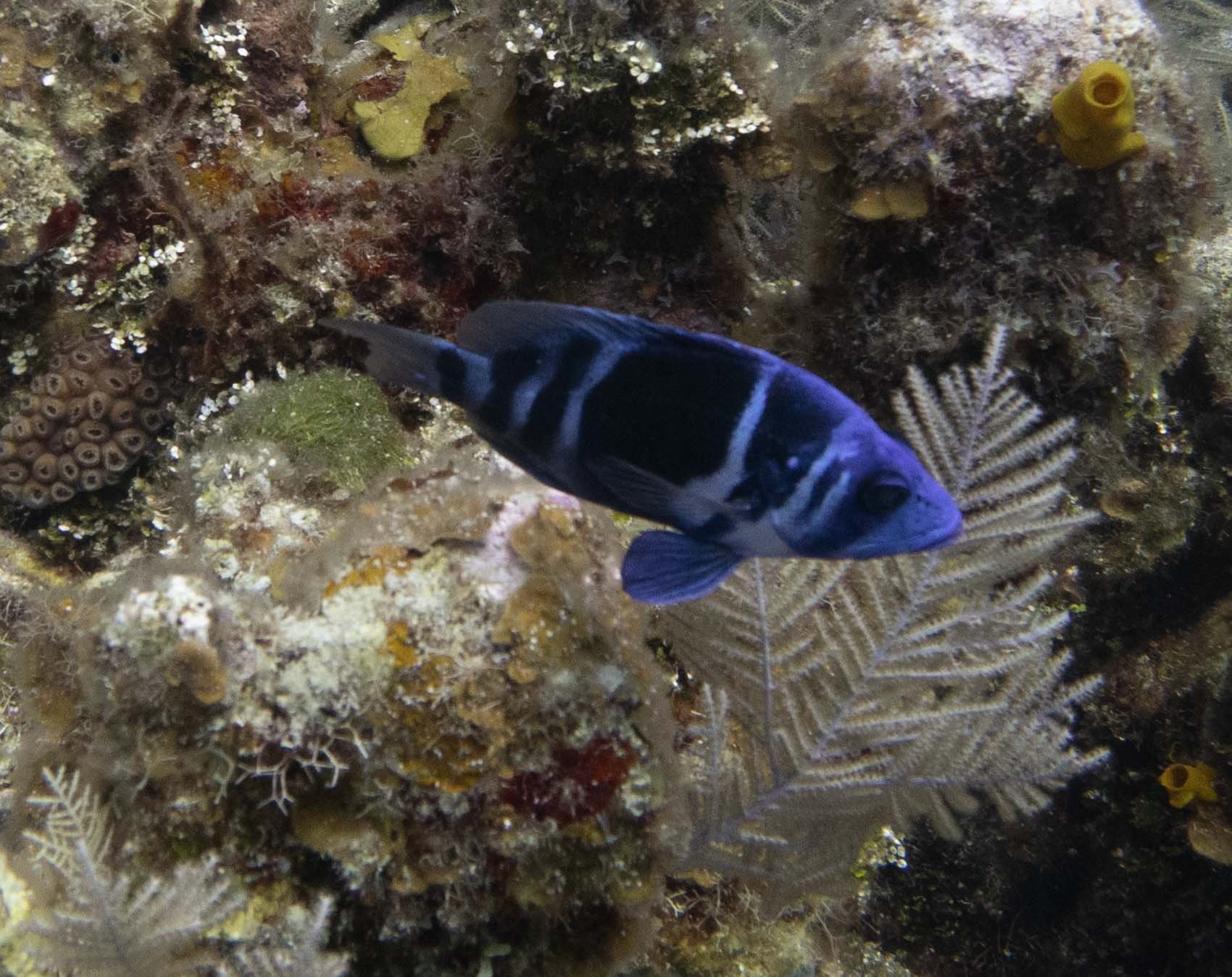 IMG_6135.JPG