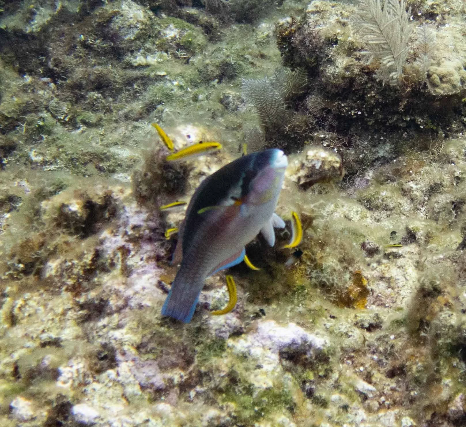 IMG_6163.JPG