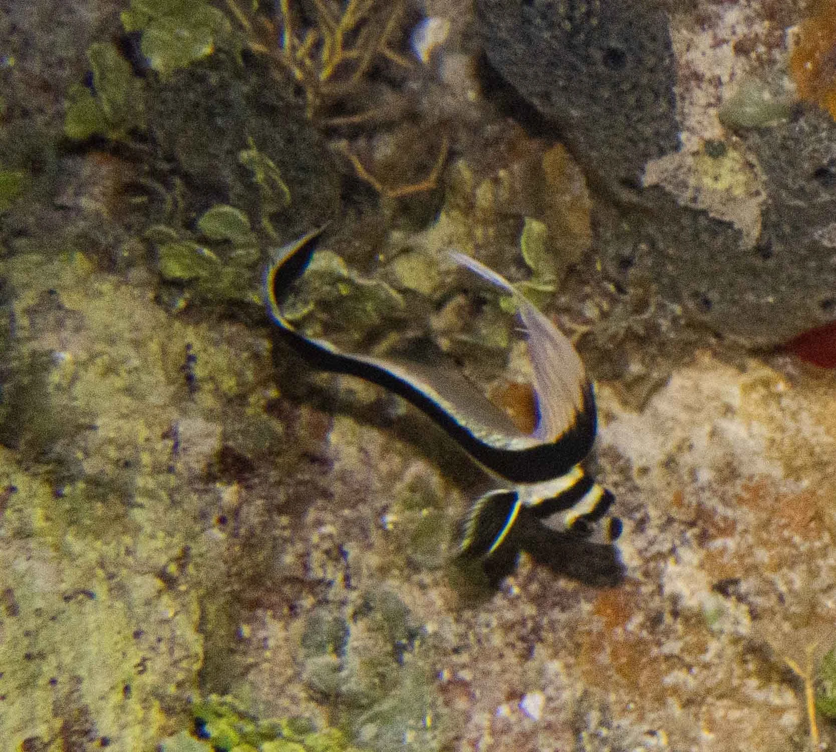 IMG_6359.JPG