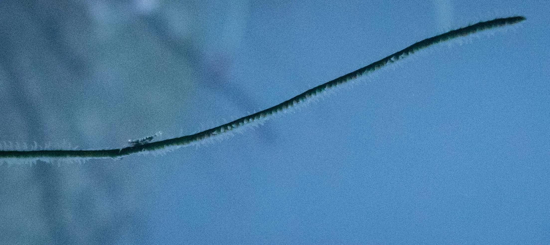 IMG_6404.JPG