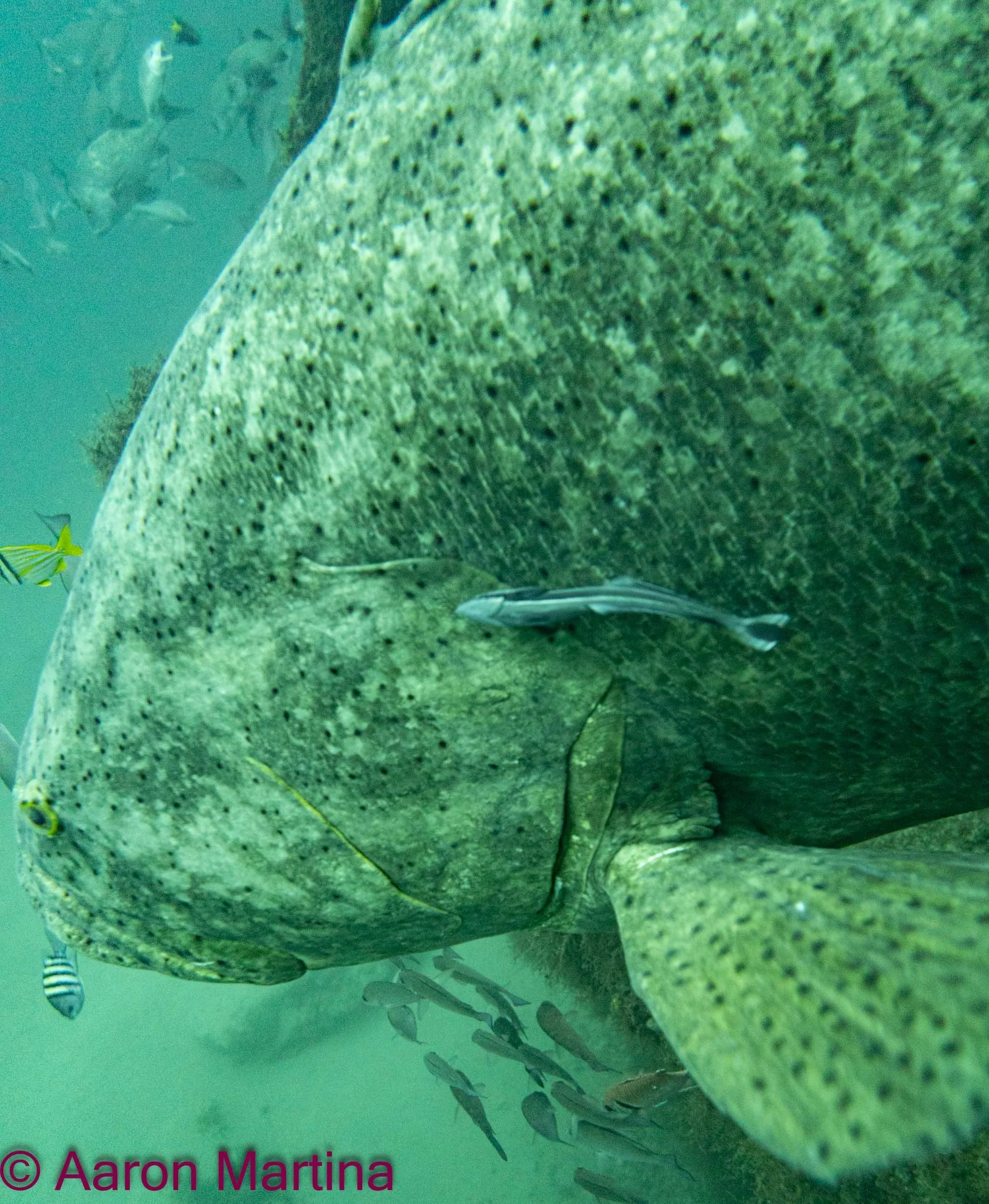 IMG_6644.JPG