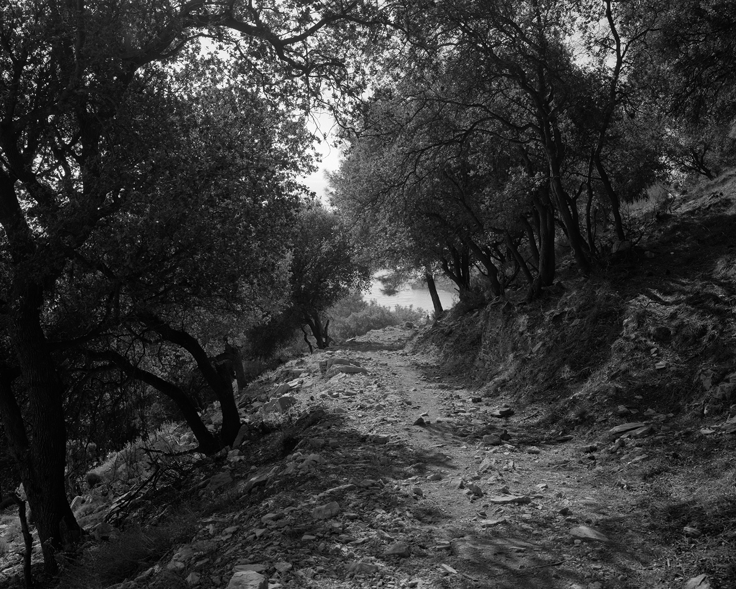 I will go to sleep and awake in Istanbul. The dreams, already here keep arriving. I am flying. The plane must land on the water. It becomes a boat: the sunlight golden as my memories are golden, born as I was in the East, the call to prayer a sound of my earliest knowing, a deep knowing of my own foreignness both to the land of my birth and to the house of my parents. Istanbul along the Bosphorus, place of meeting for thousands of years, where East and West strike as in my own heart. The dreams arrive against a destination still imaginary. I will go to sleep and awake there.