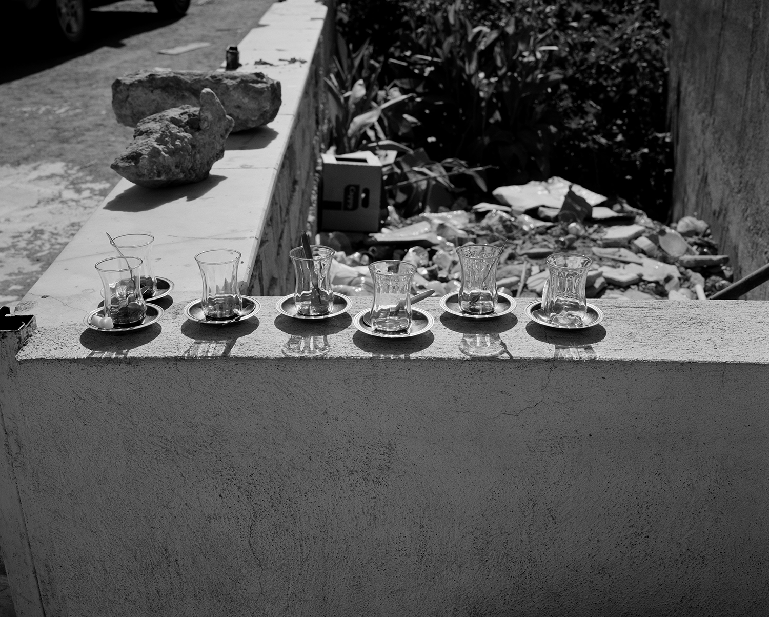 Memories flutter before me; I can hardly contain them. They are almost straight from my muscle and bone: the sweetness of the fig tree in the afternoon heat, the spice of pine, dust and silver olive leaves, the wind through the pi