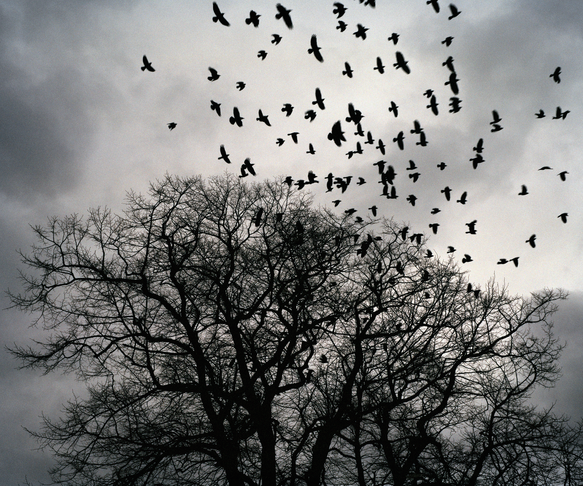 With some stronger winds ahead of the rain. London Times