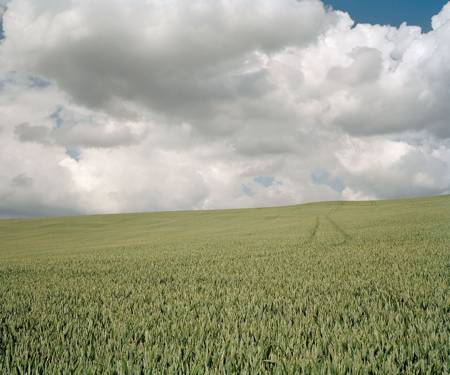 Firm crops plus dry weather in England means the start of crop circle season. The Sunday Times