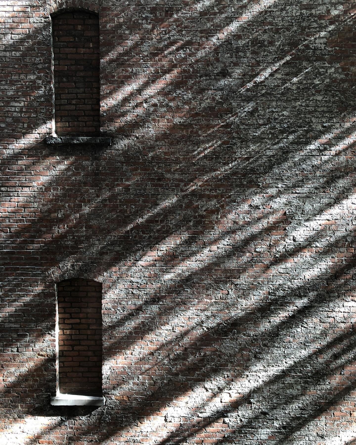 A view of #NYC in September  #upperwestside #shadowsandlight #fallleaves