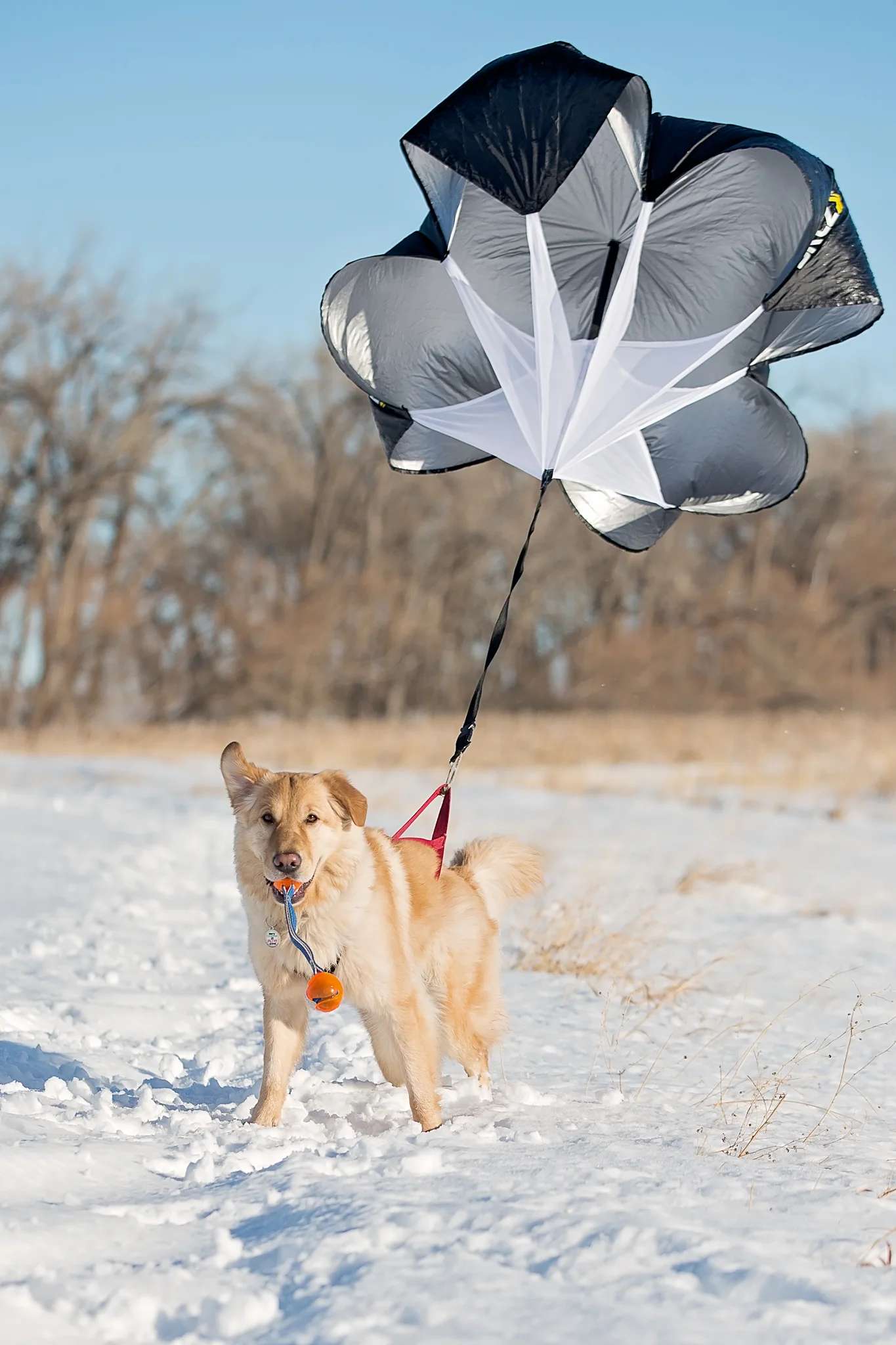 The chute shouldn't be in the air when he's standing still. :)