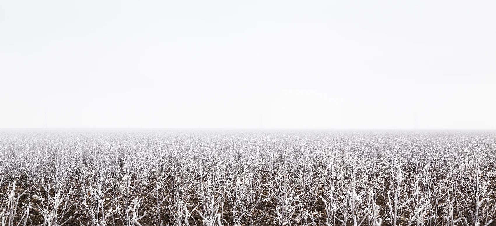 _S9A4216 as Smart Object-1crop never ending white lights.jpg