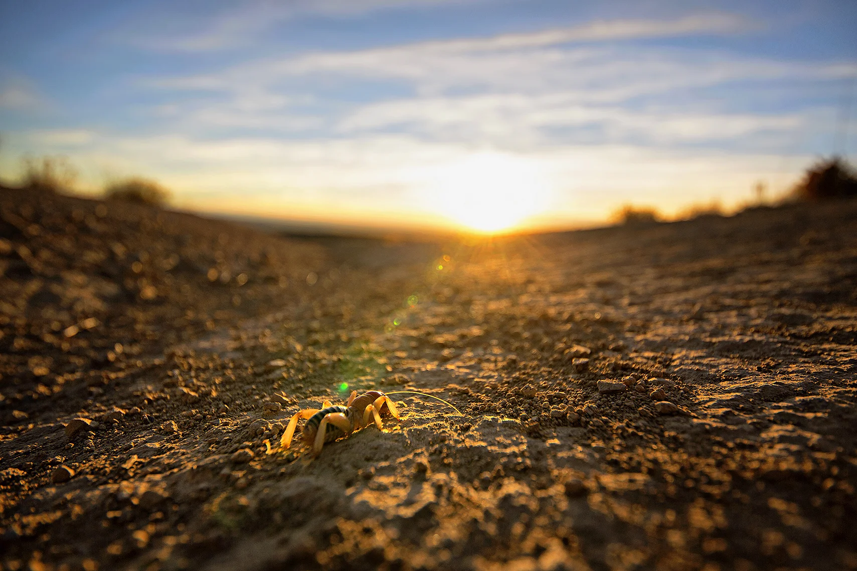 Through small (and simple) things, great things come to past_You are the Center of the Universe.jpg