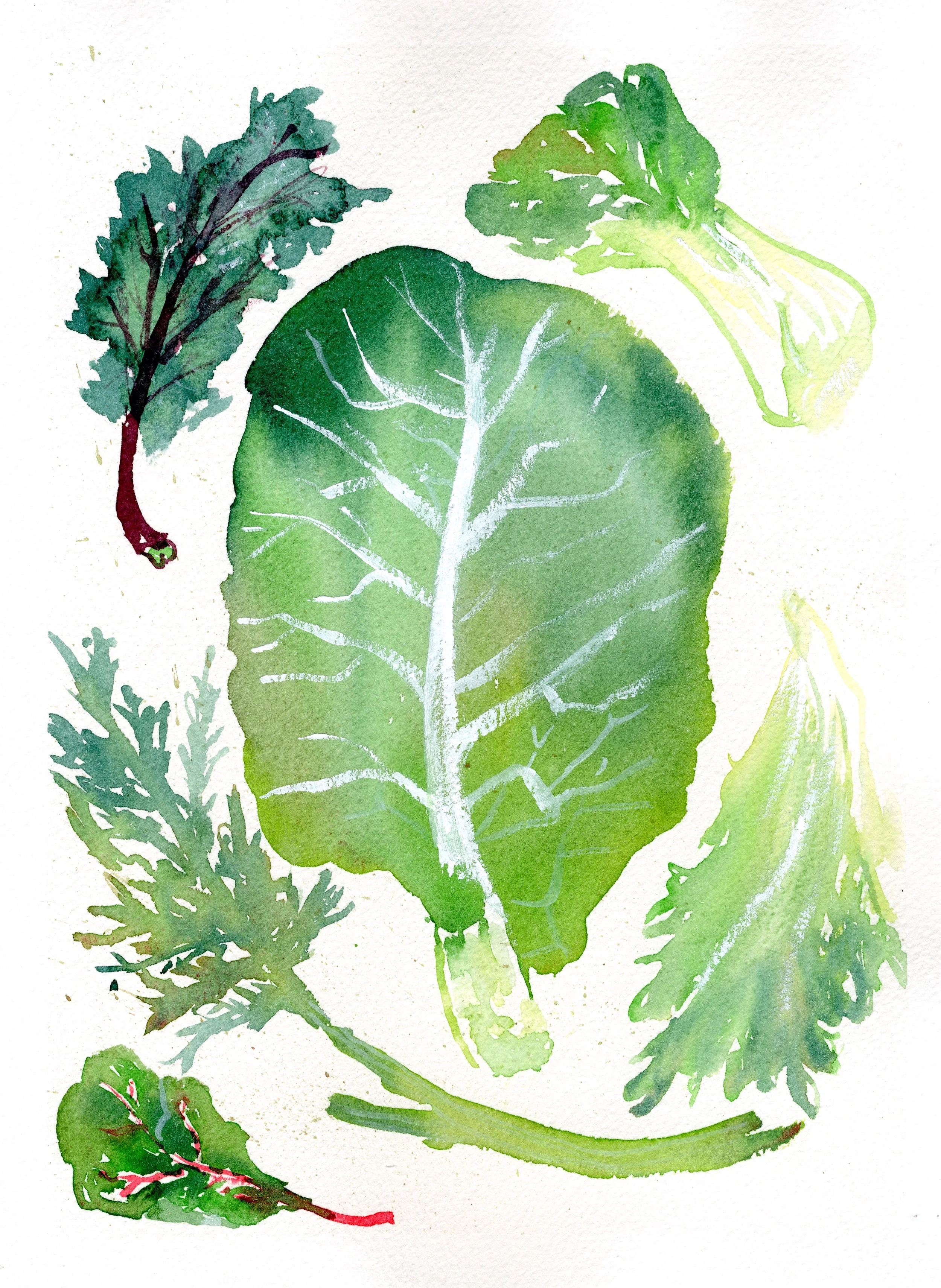 alina_lettuce.jpg
