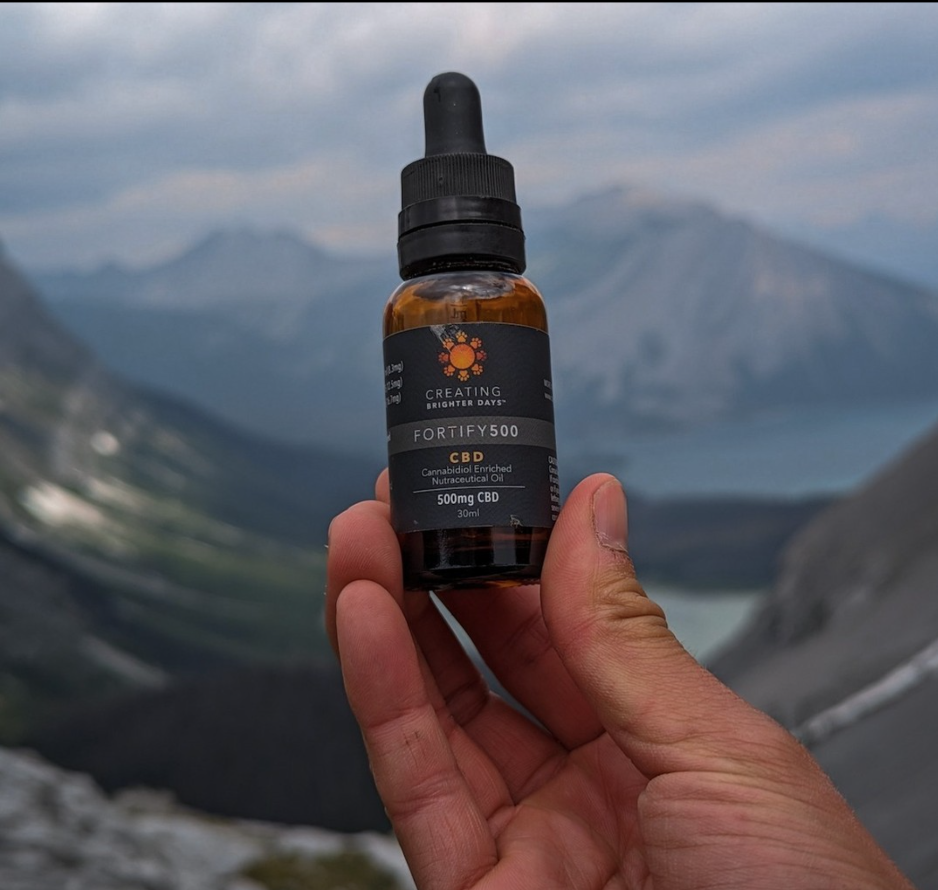 Screen Shot 2024-02-25 at 7.14.48 AM.png