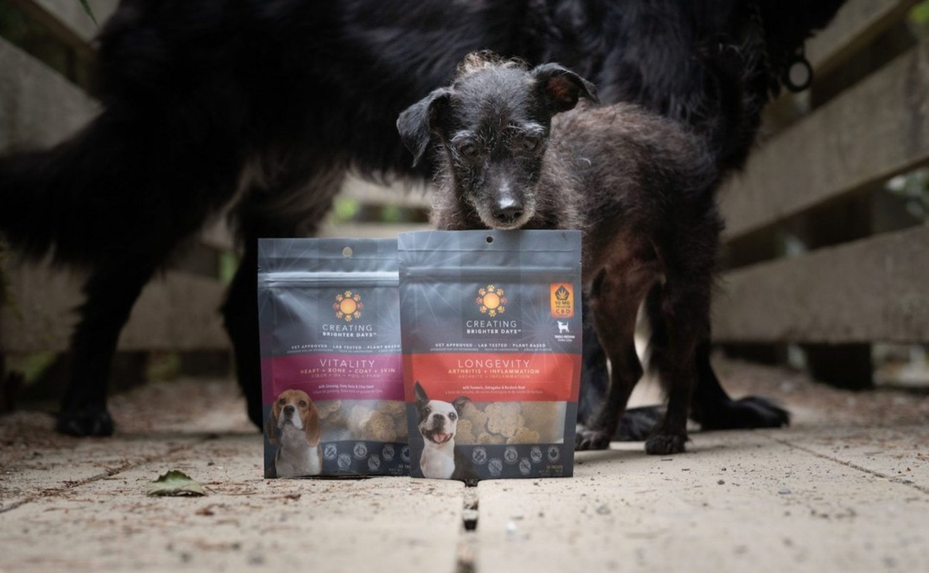 Screen Shot 2024-02-25 at 7.15.04 AM.png