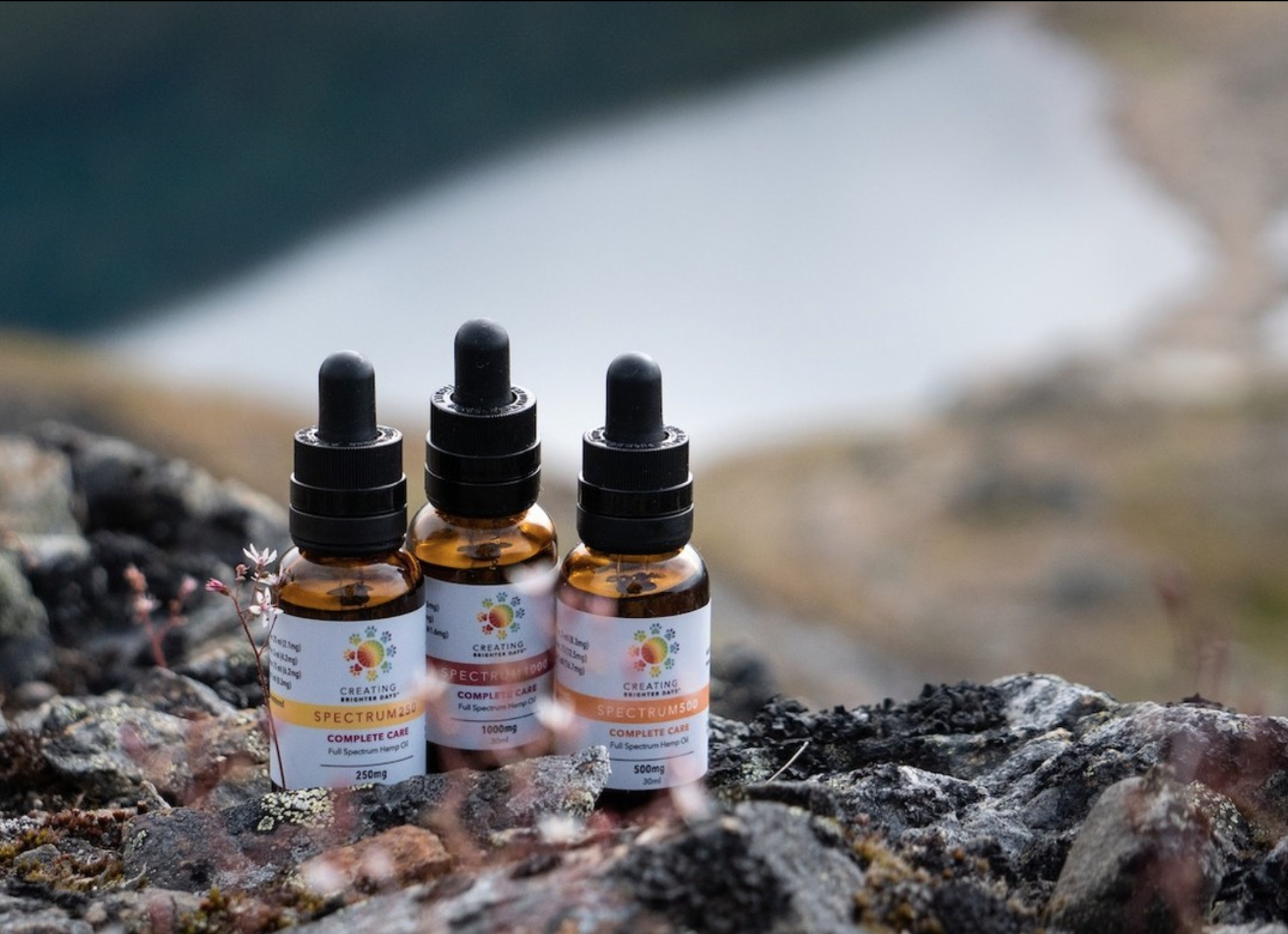 Screen Shot 2024-02-25 at 7.15.16 AM.png