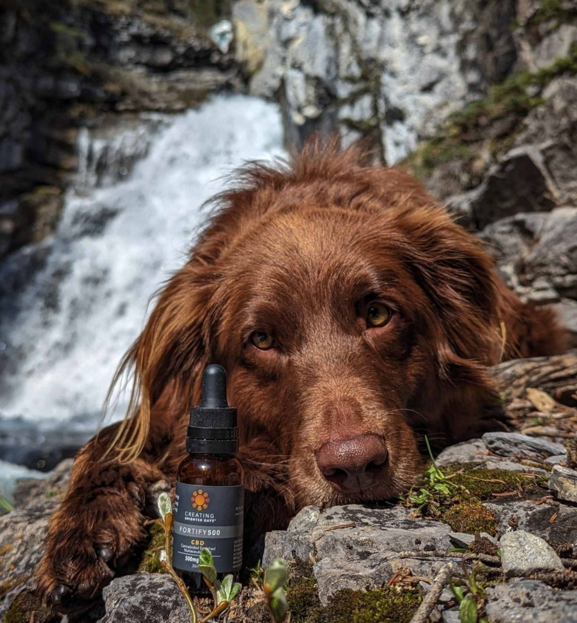 Screen Shot 2024-02-25 at 7.15.38 AM.png