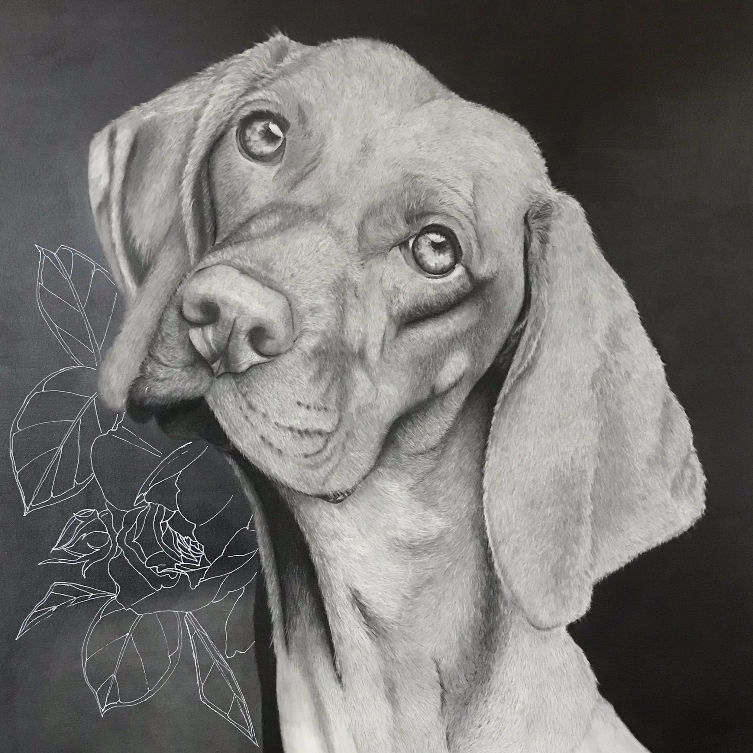 weim.jpg