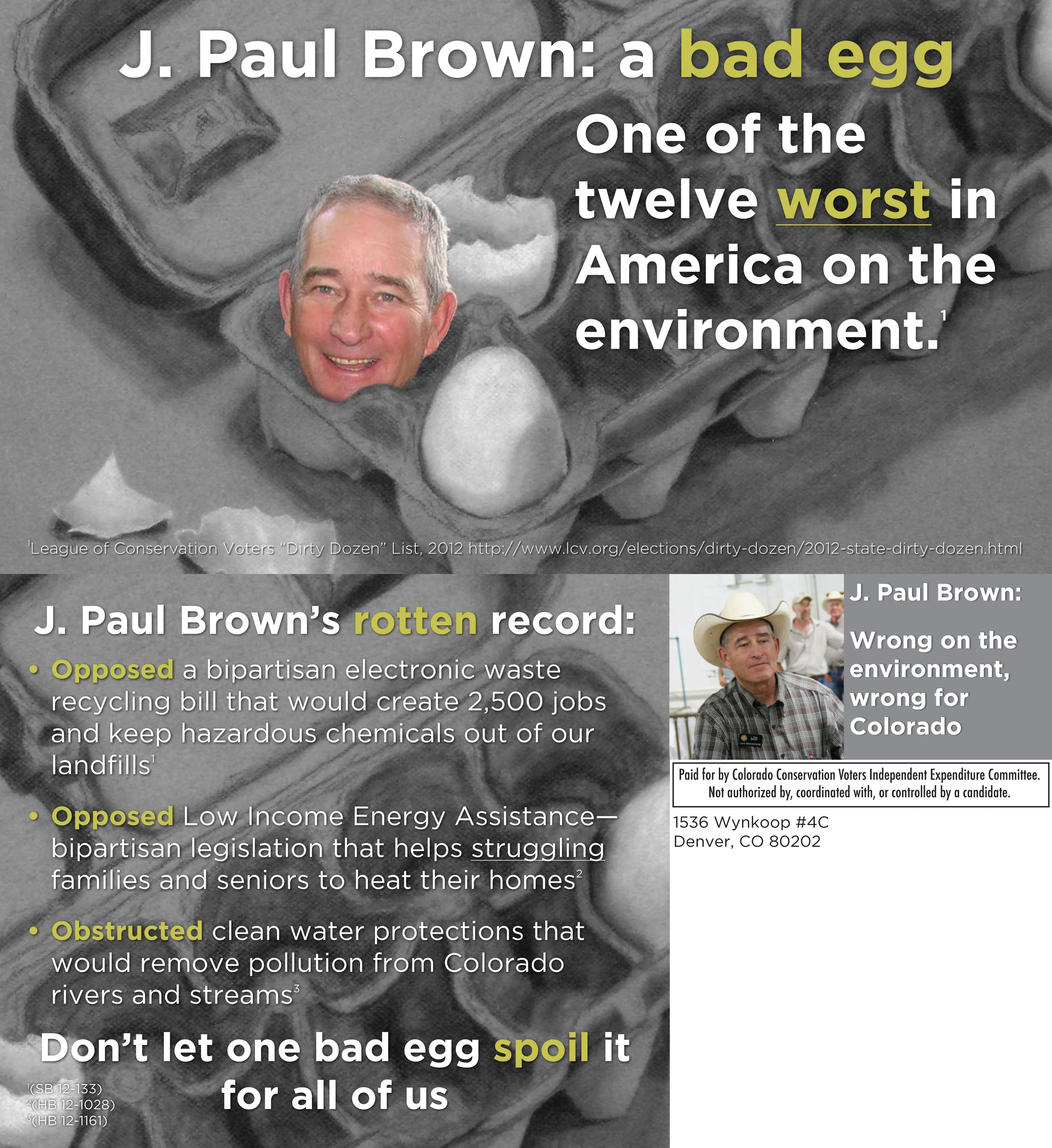 2012 Direct Mail Produced for RBI Strategies & Research. Graphic design, illustration & layout
