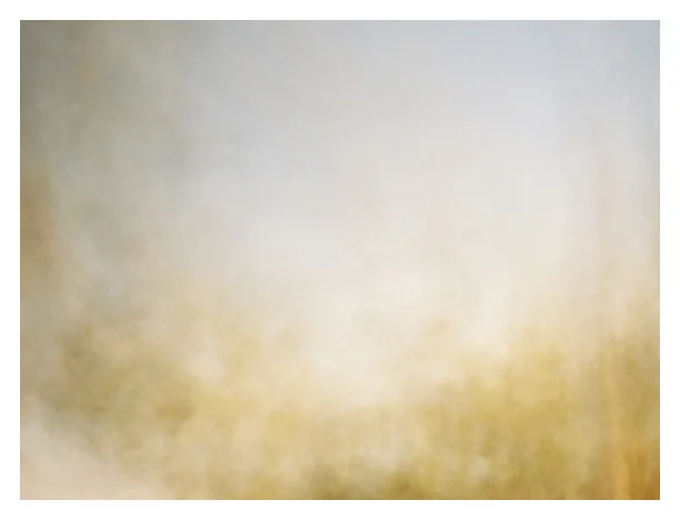 painting7WEB.jpg
