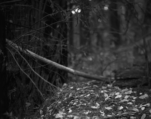 BW45-2007-7.jpg