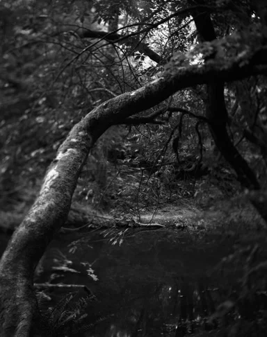 BW45-2007-21.jpg