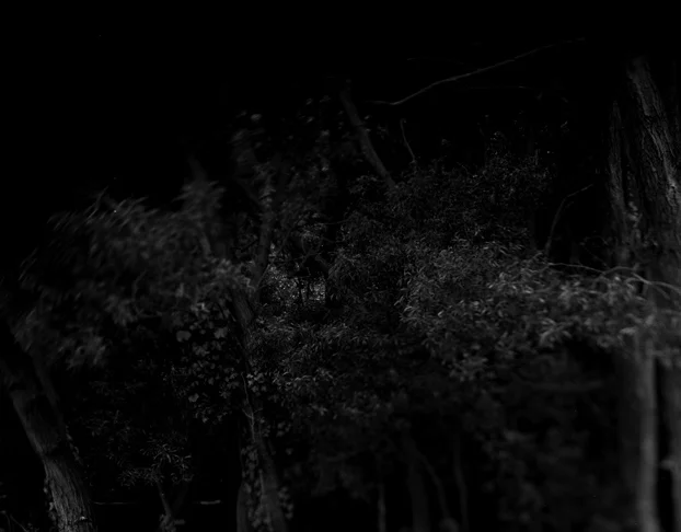 BW45-2006-17.jpg