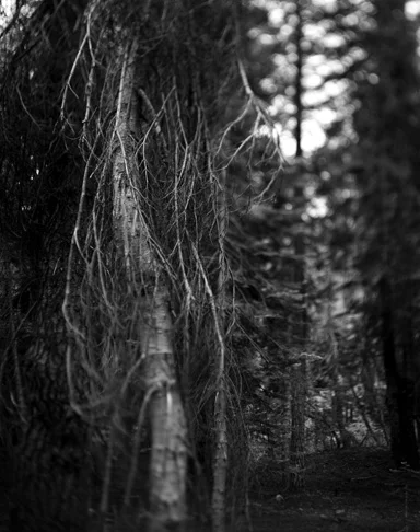 BW45-2006-24.jpg