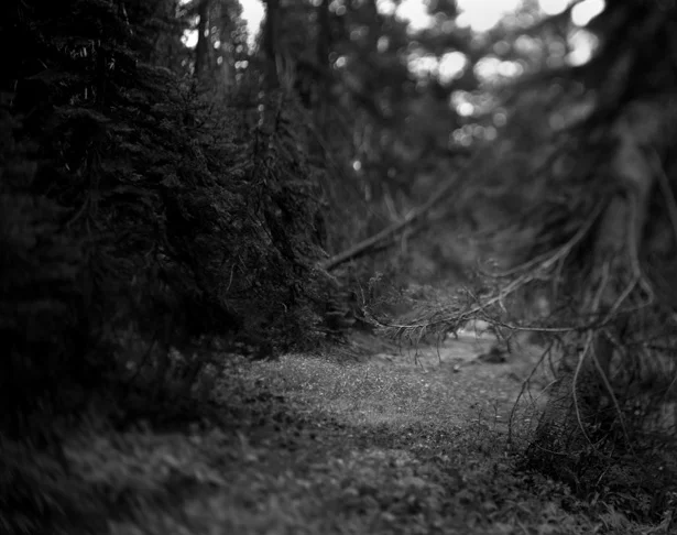 BW45-2006-23.jpg
