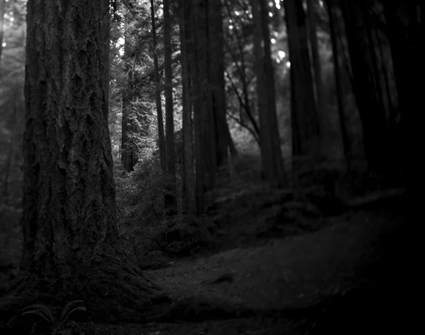 BW45-2007-9.jpg