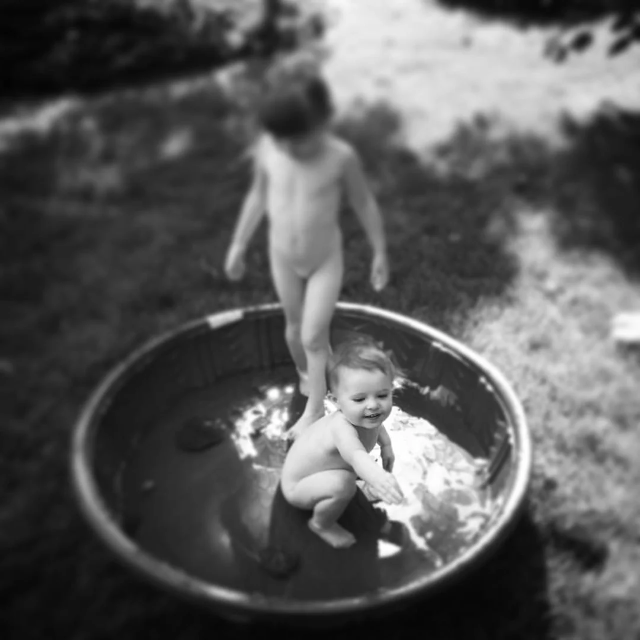 Phoebe & Lucy. Playing in the Pool. 6-29-16.