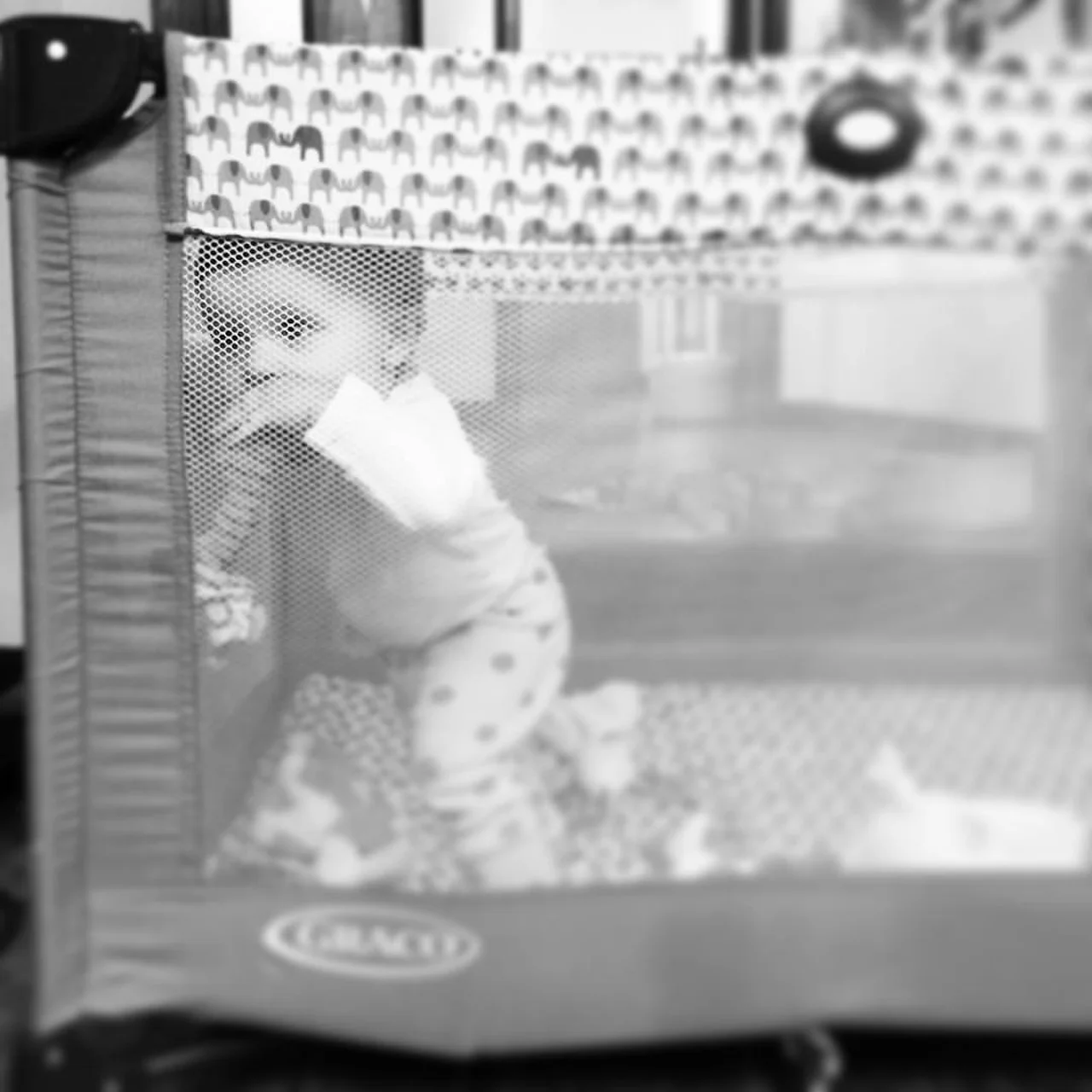 Lucy. Trying to Watch the TV. 12-12-15.