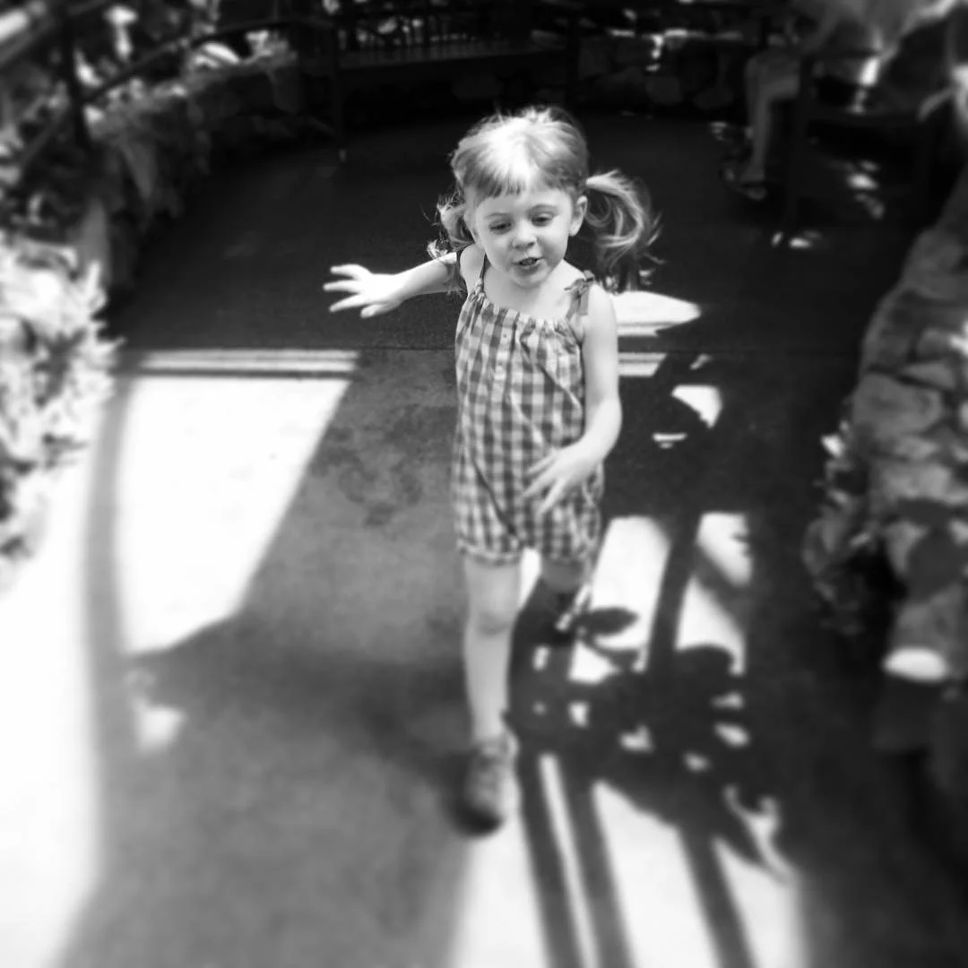   Phoebe. Chasing Butterflies. 8-14-15.  