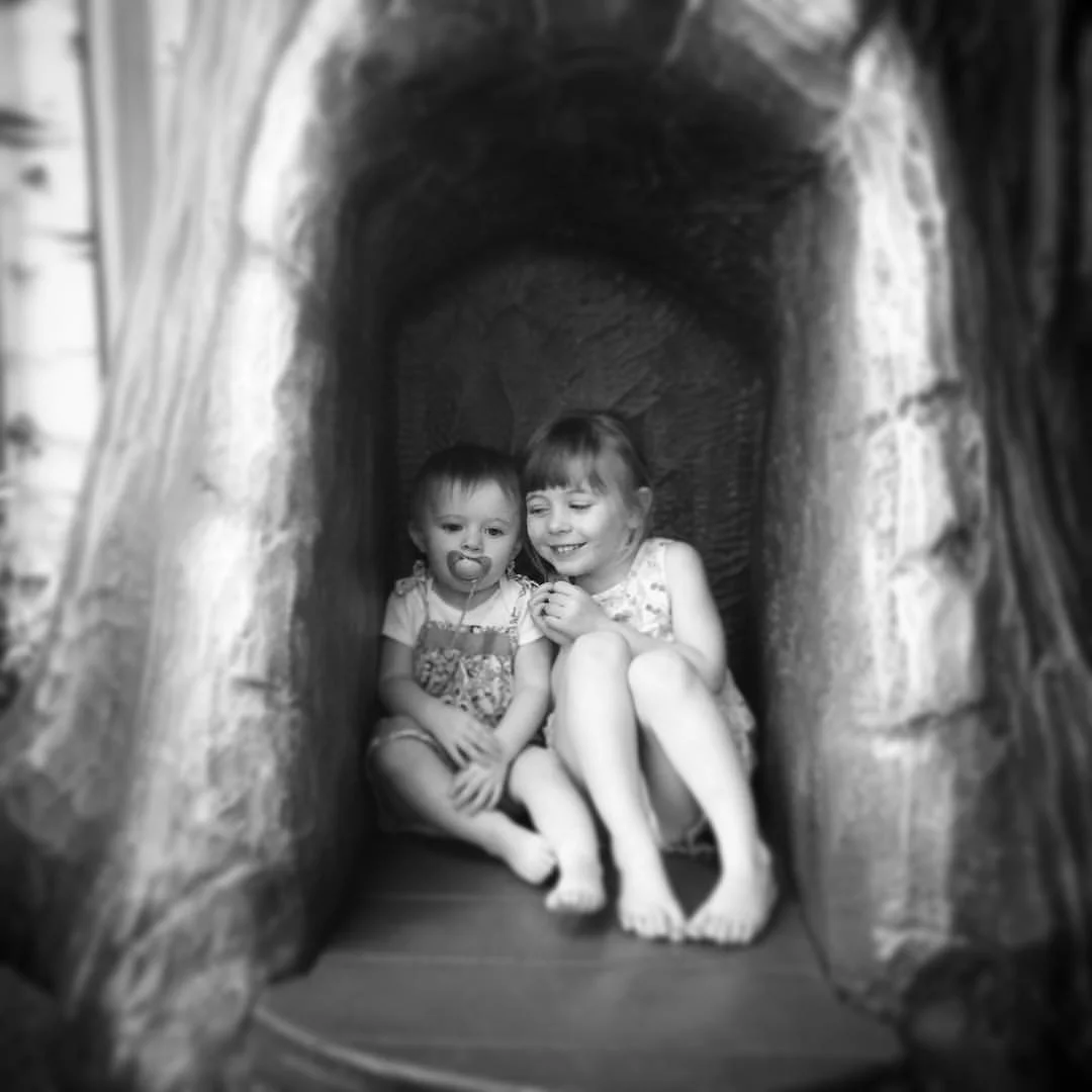   Phoebe &amp; Lucy. Indoor Park. 7-27-16.  