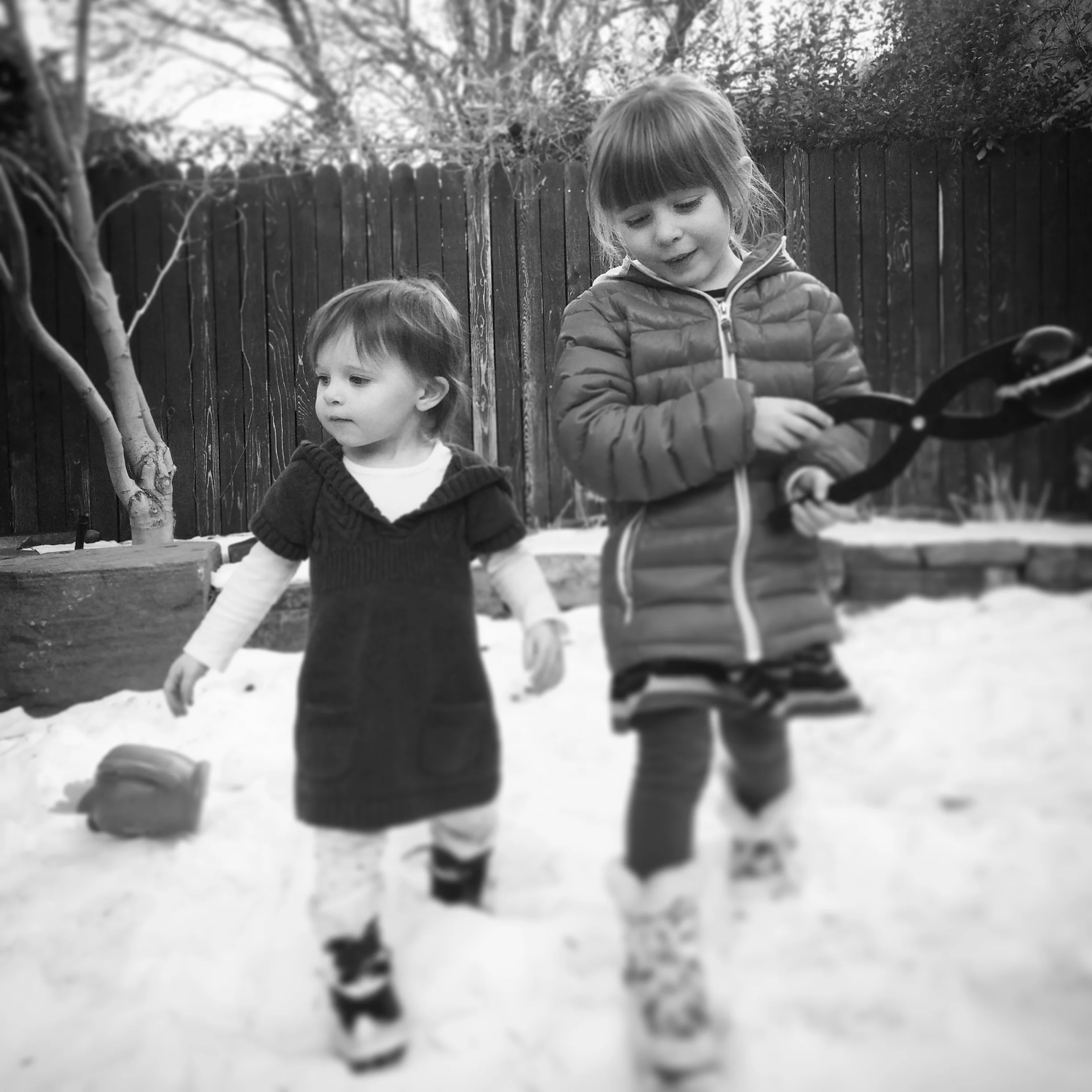   Phoebe &amp; Lucy. Snowballs. 1-9-17.  