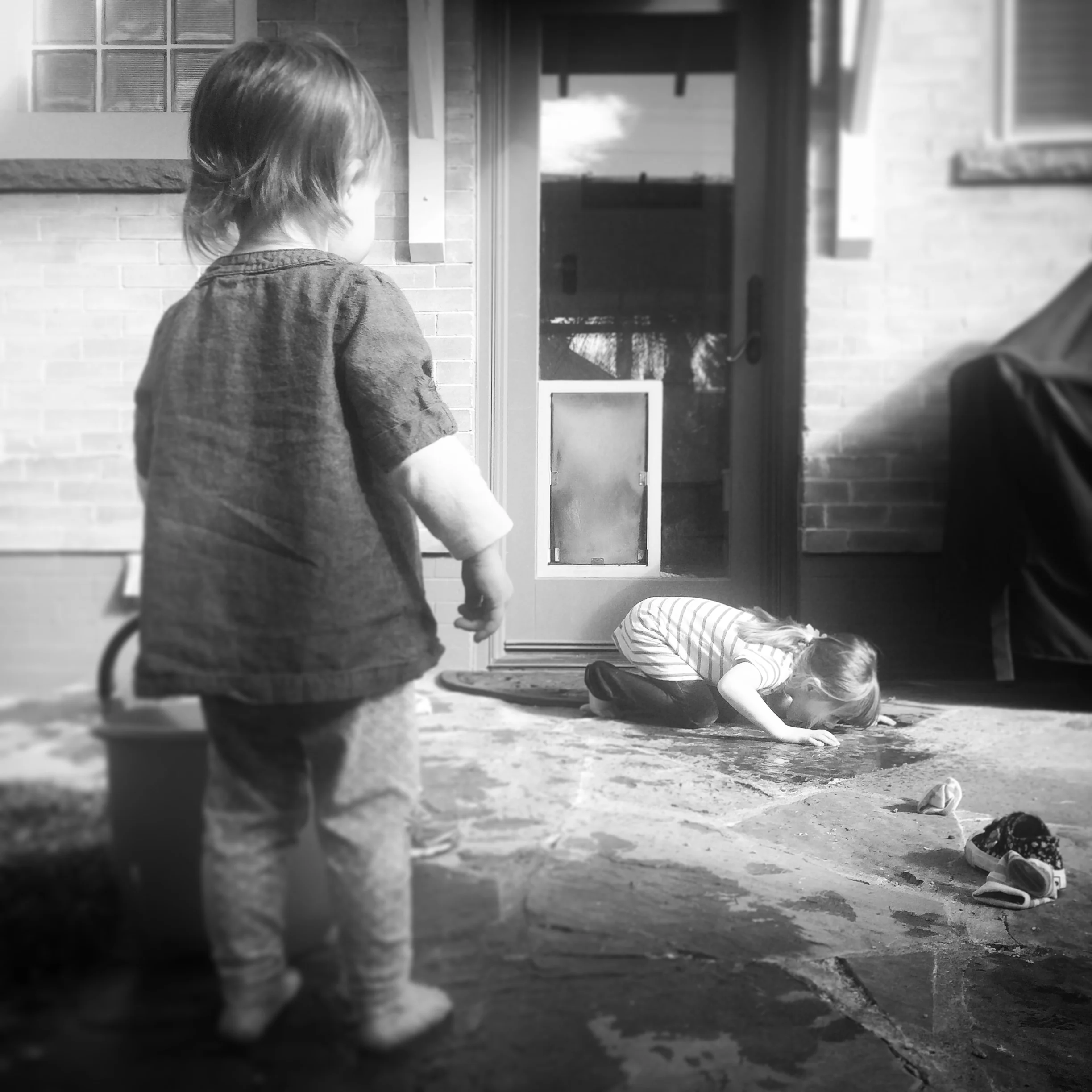   Phoebe. Licking Water &amp; Lucy Watching. 2-17-17.  