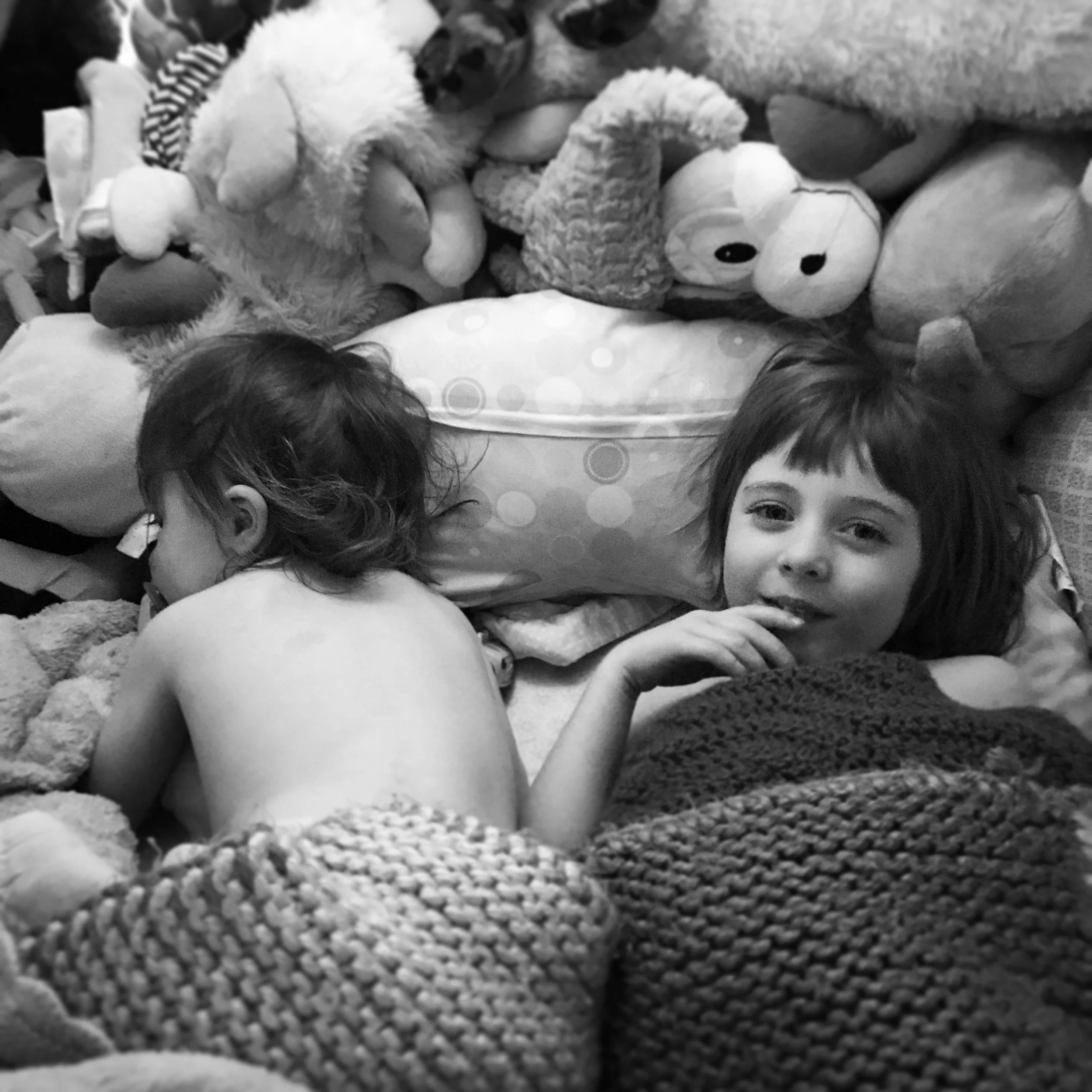   Phoebe &amp; Lucy. In Phoebe’s Bed. 1-29-18.  