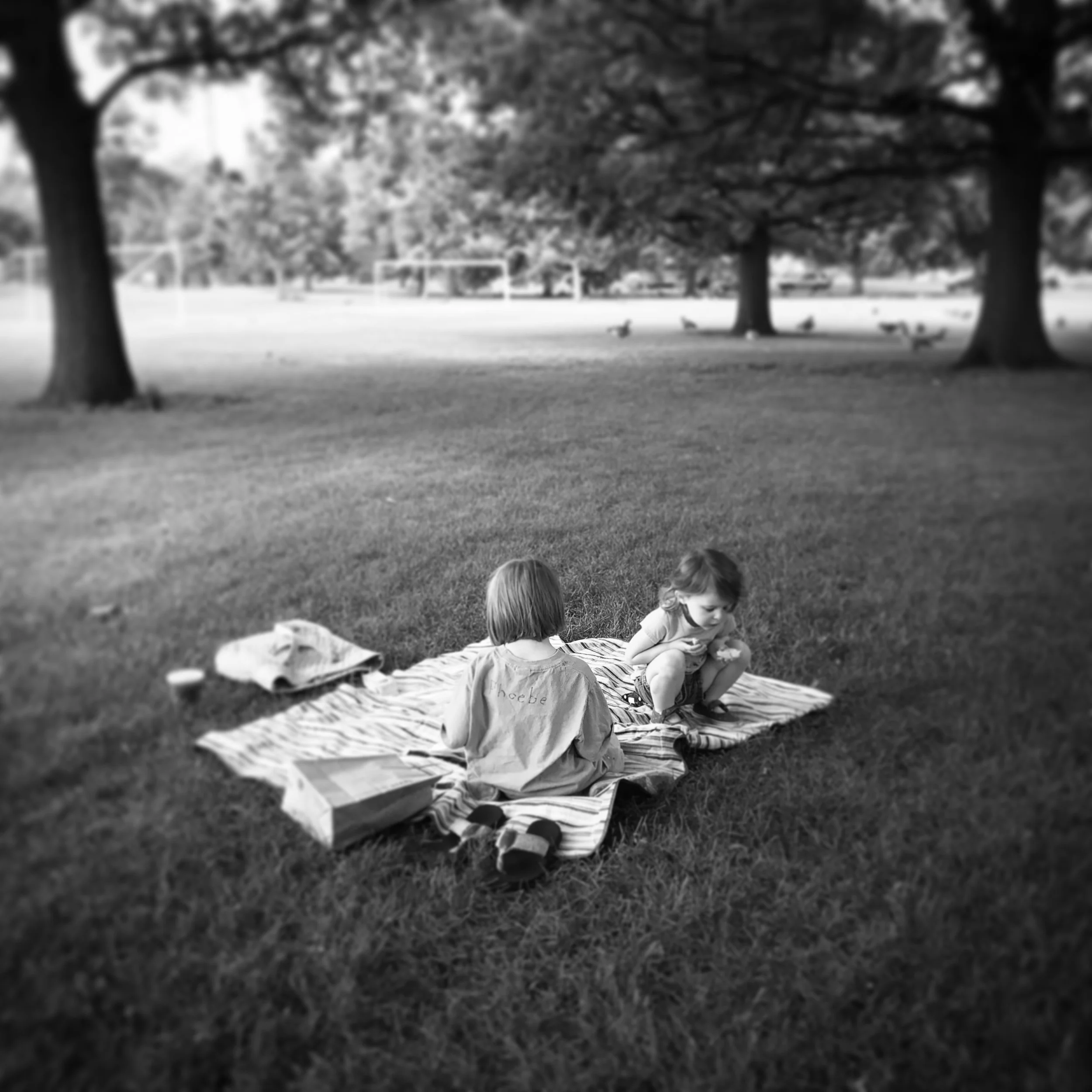   Phoebe &amp; Lucy. Picnic. City Park. 7-26-18.  
