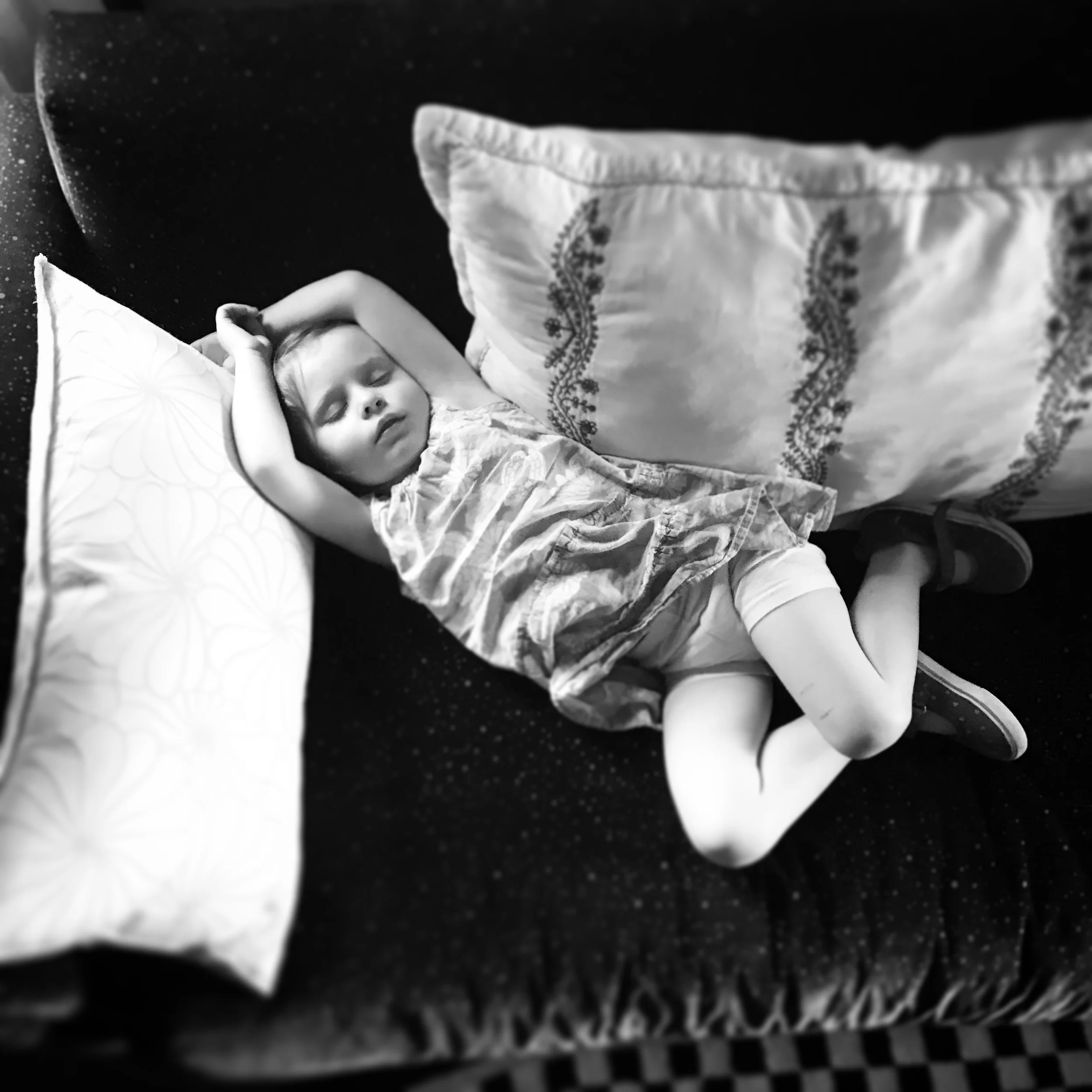   Lucy. Napping. 6-28-18.  