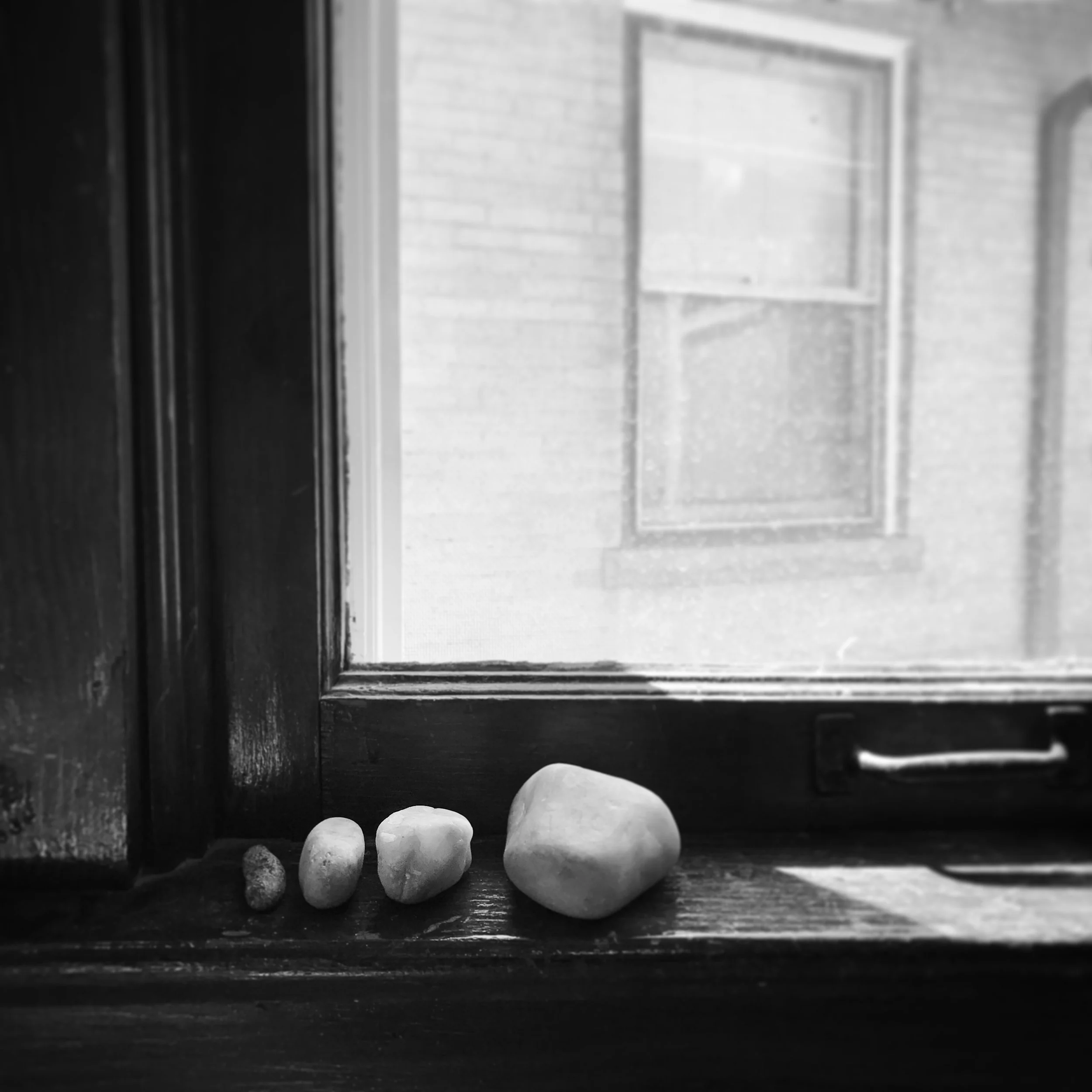   Phoebe. Dinosaur Eggs. 9-26-17.  