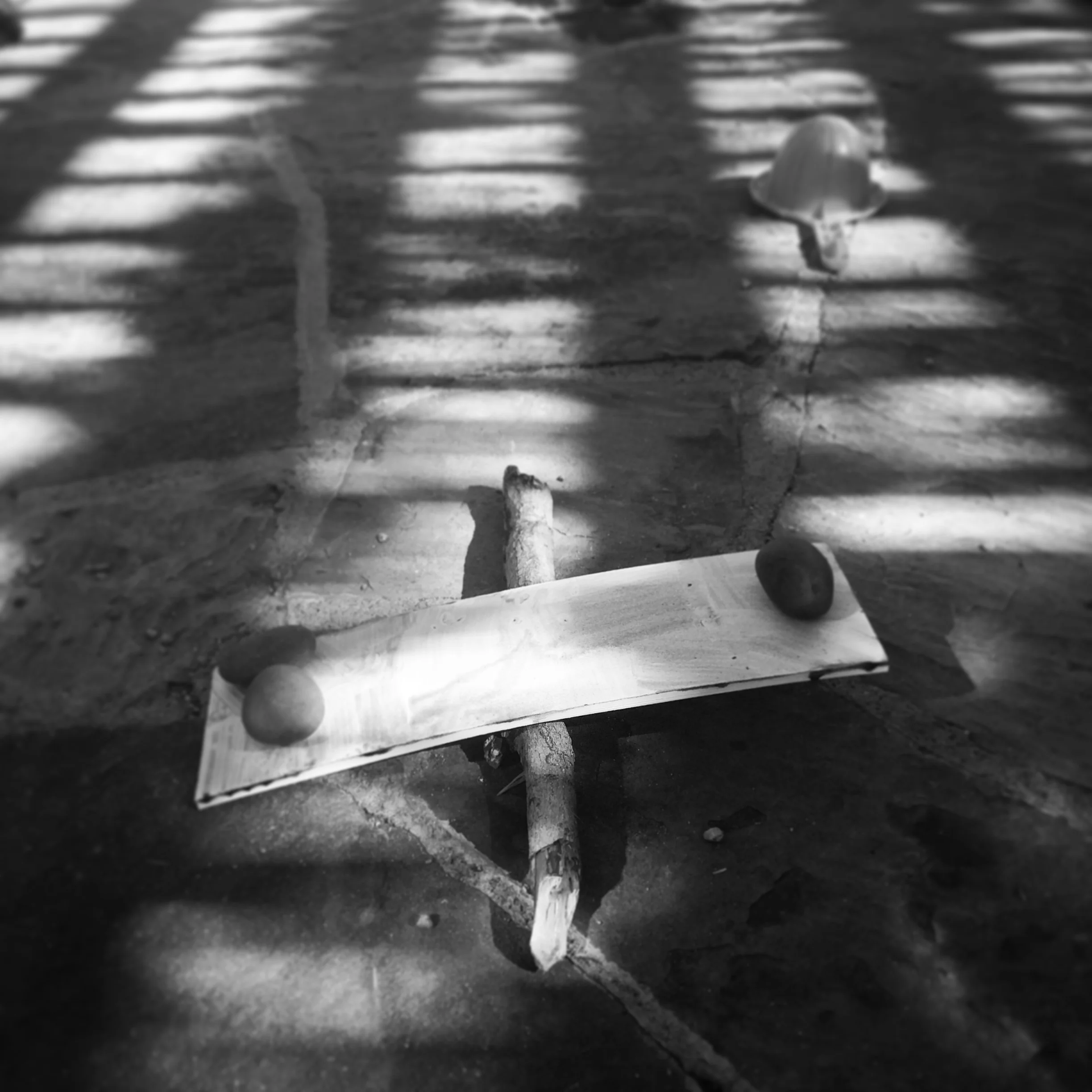   Phoebe. Scale. 3-2-17.  