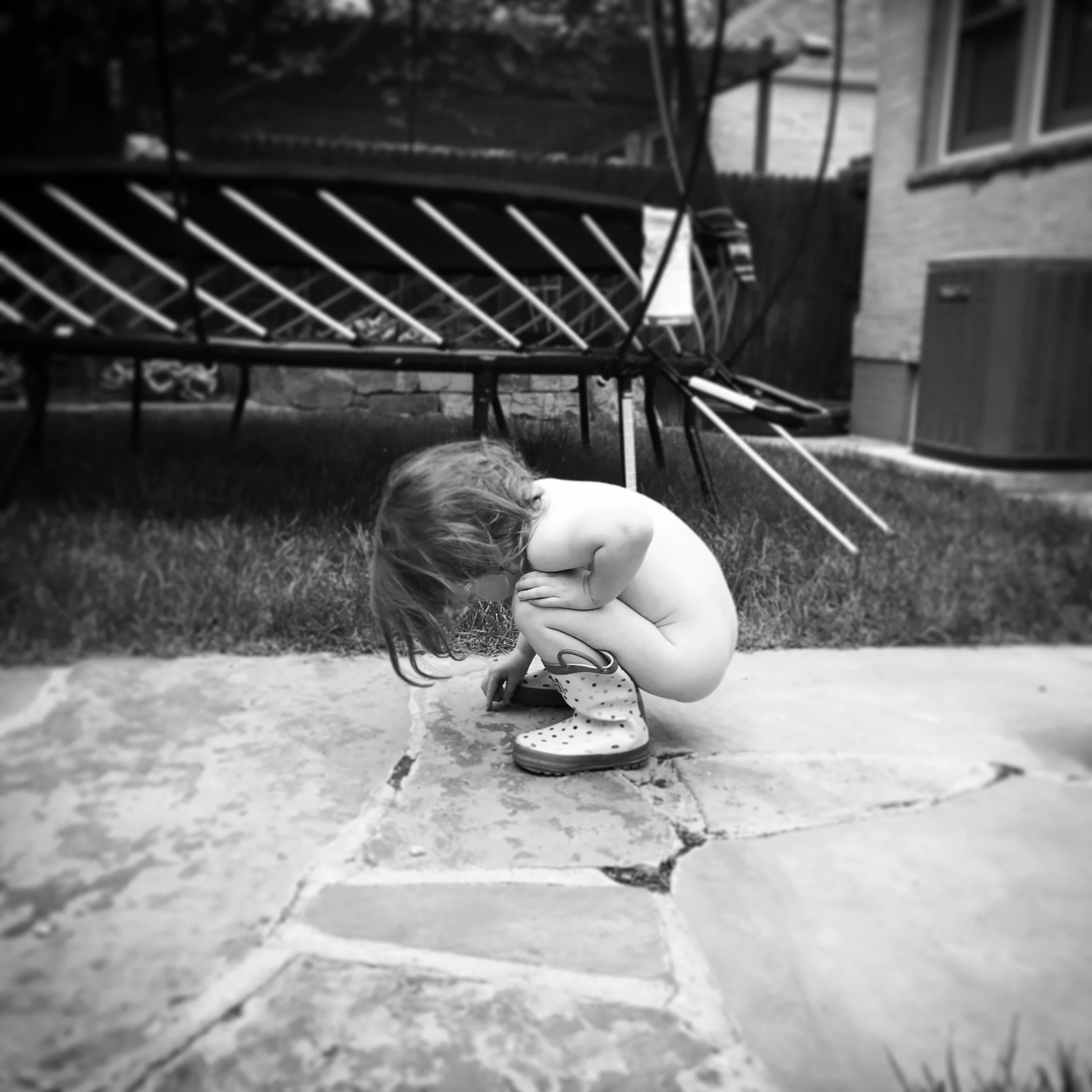   Lucy. Catching Ants. 5-12-18.  