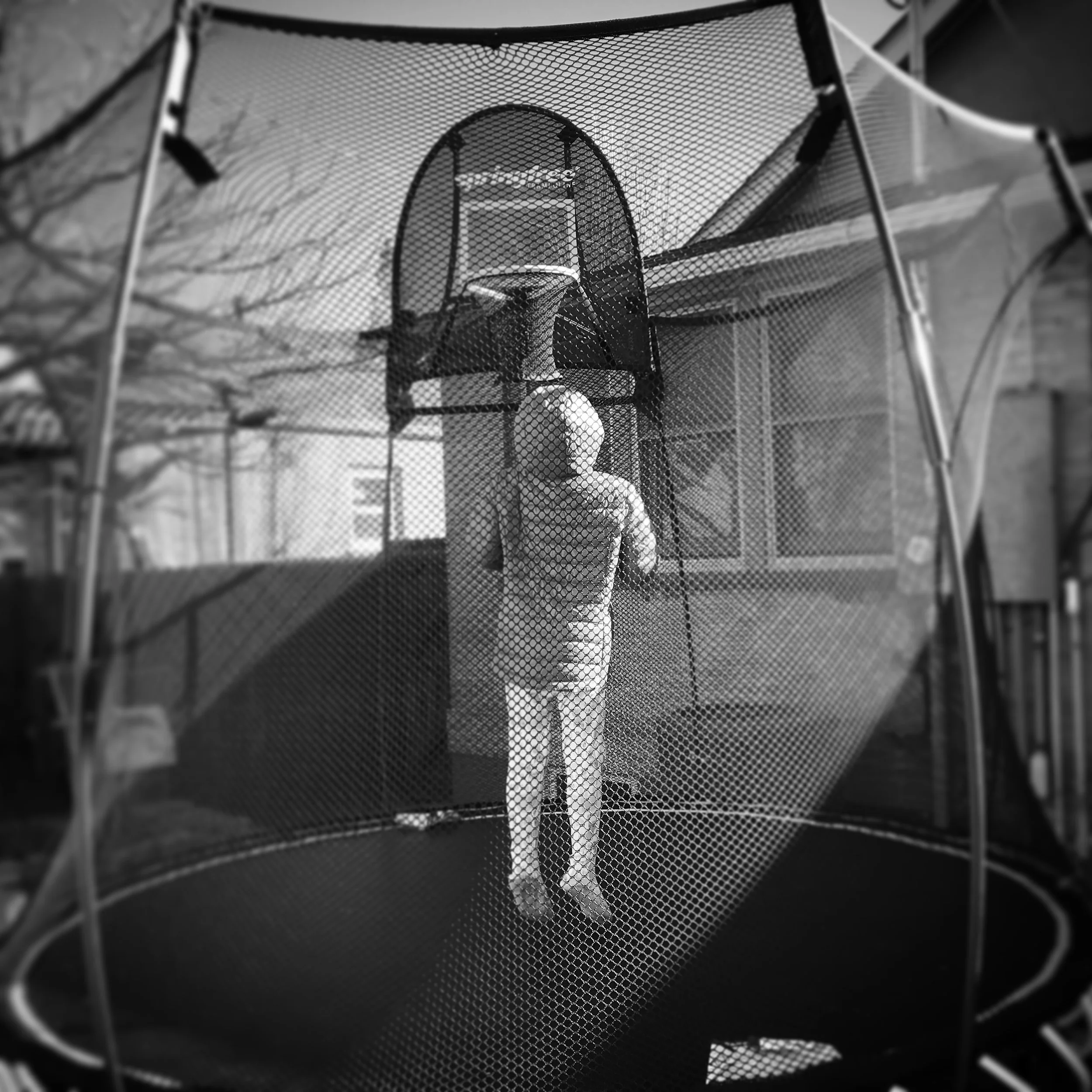   Phoebe. Trampoline. 2-17-18.  