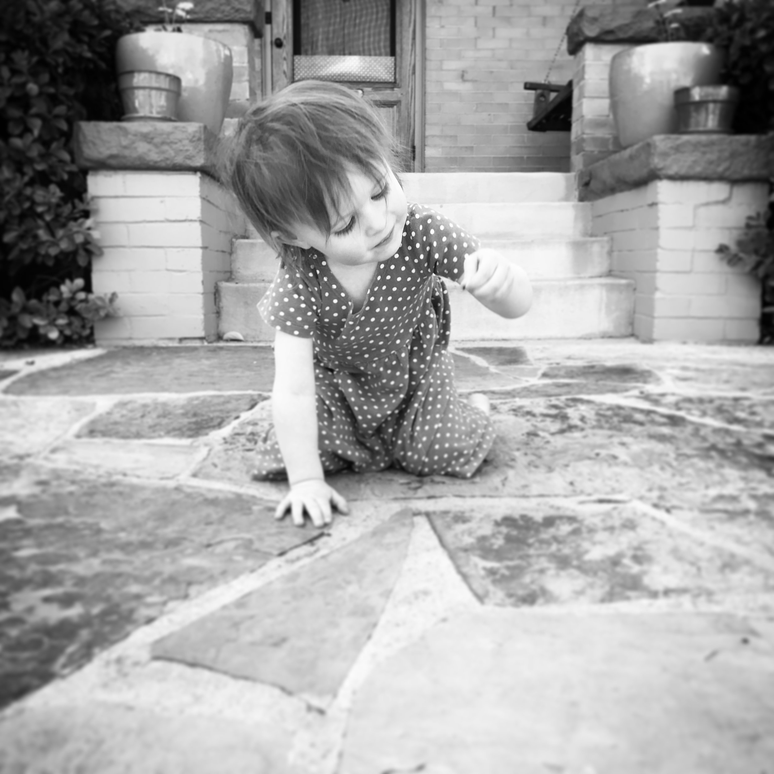   Lucy. Catching Ants. 4-12-17.  